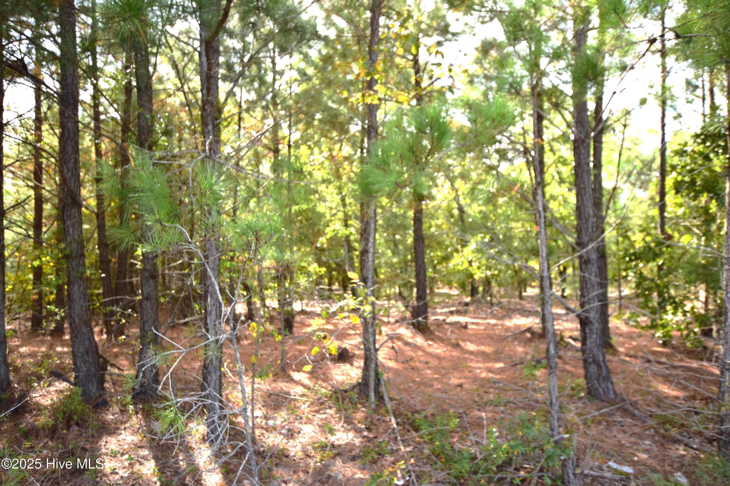 1035 Mill Road Property Photo 1