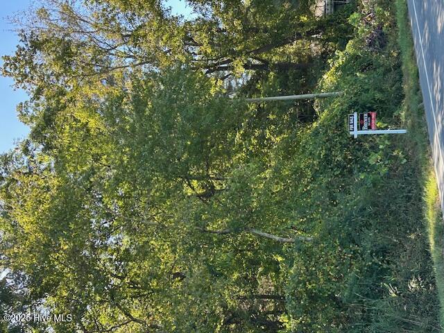 Lot 1 Nc Hwy 403 Property Photo 1