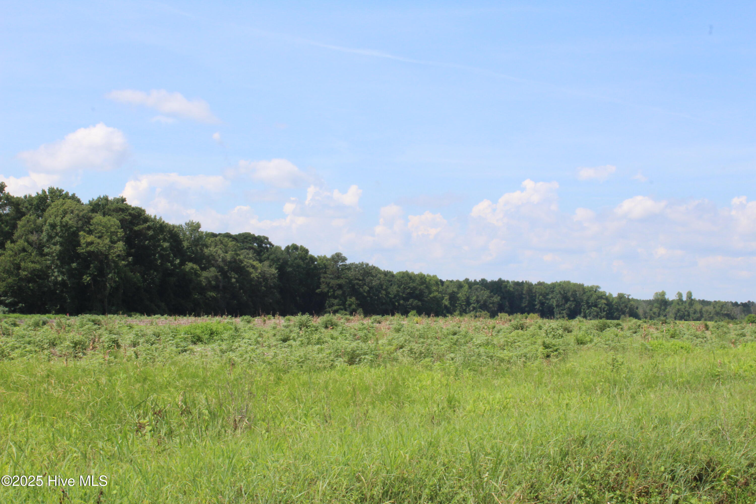 972 Whaley Road Property Photo 1