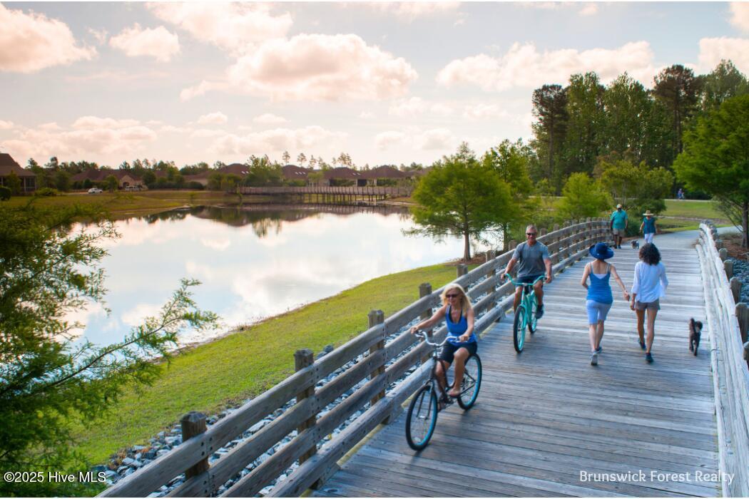 1315 Star Grass Way Property Photo 7