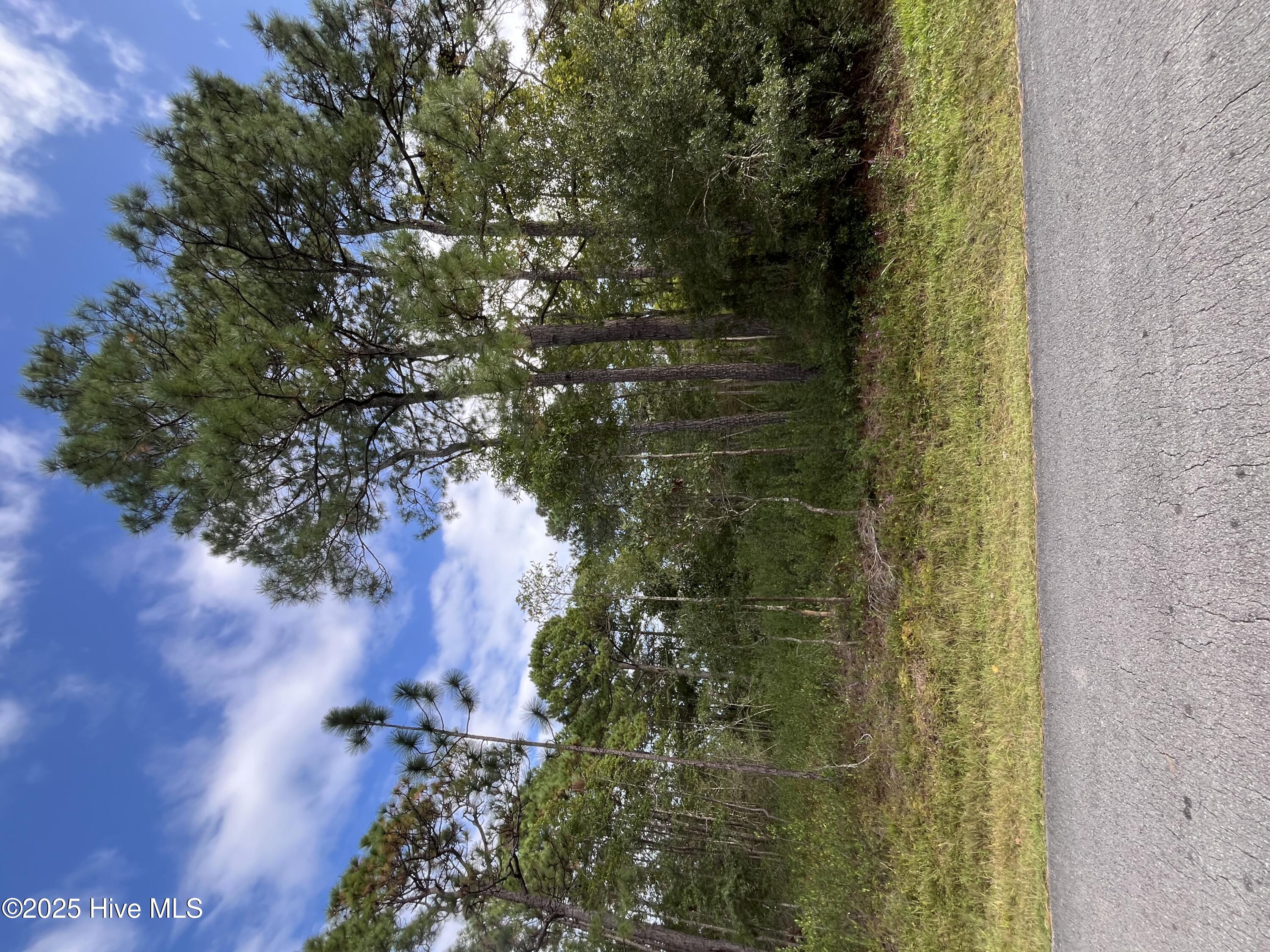 Lot 416 Juniper Road Property Photo 1