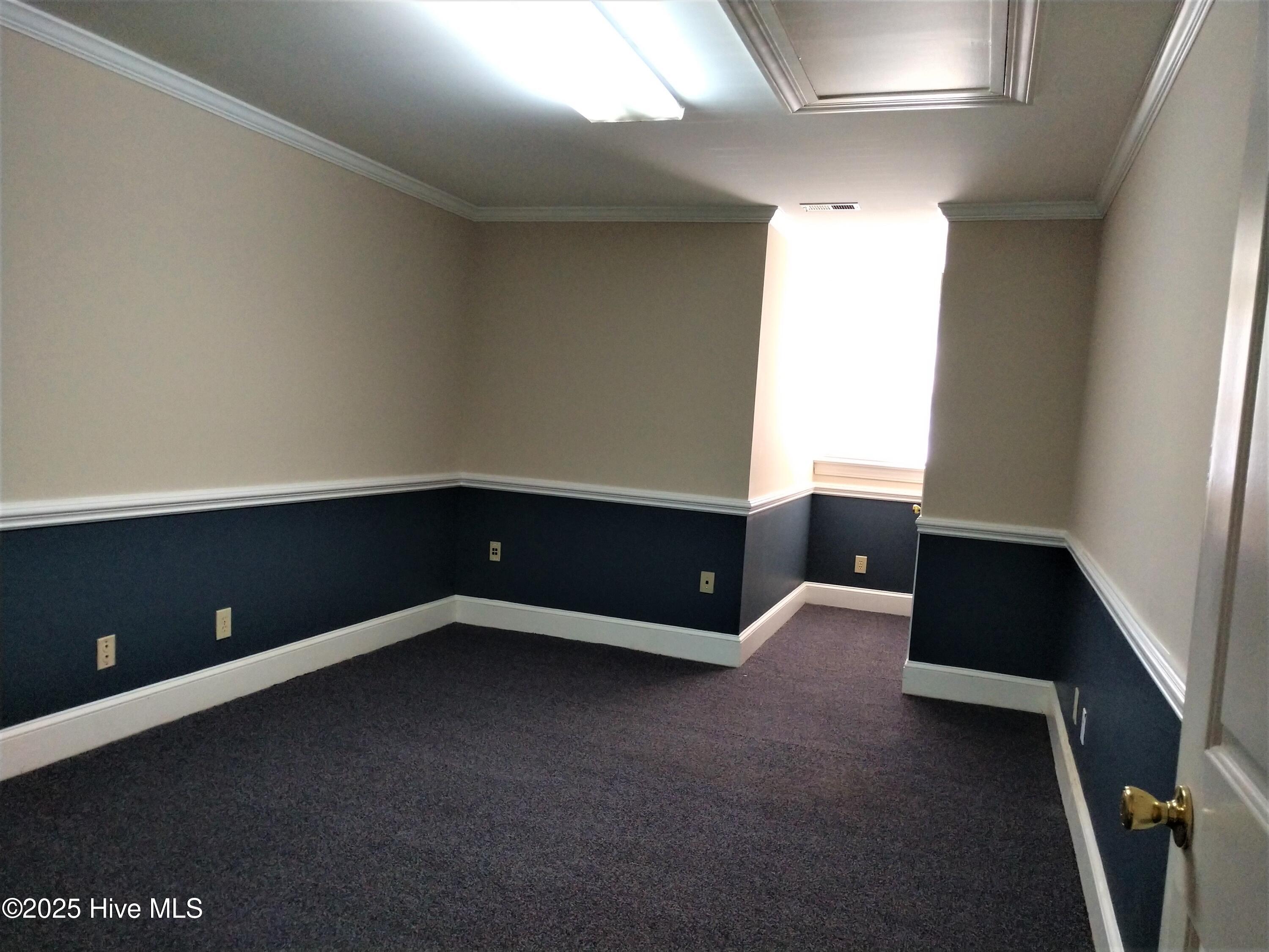 823 Evans Street C Property Photo 5