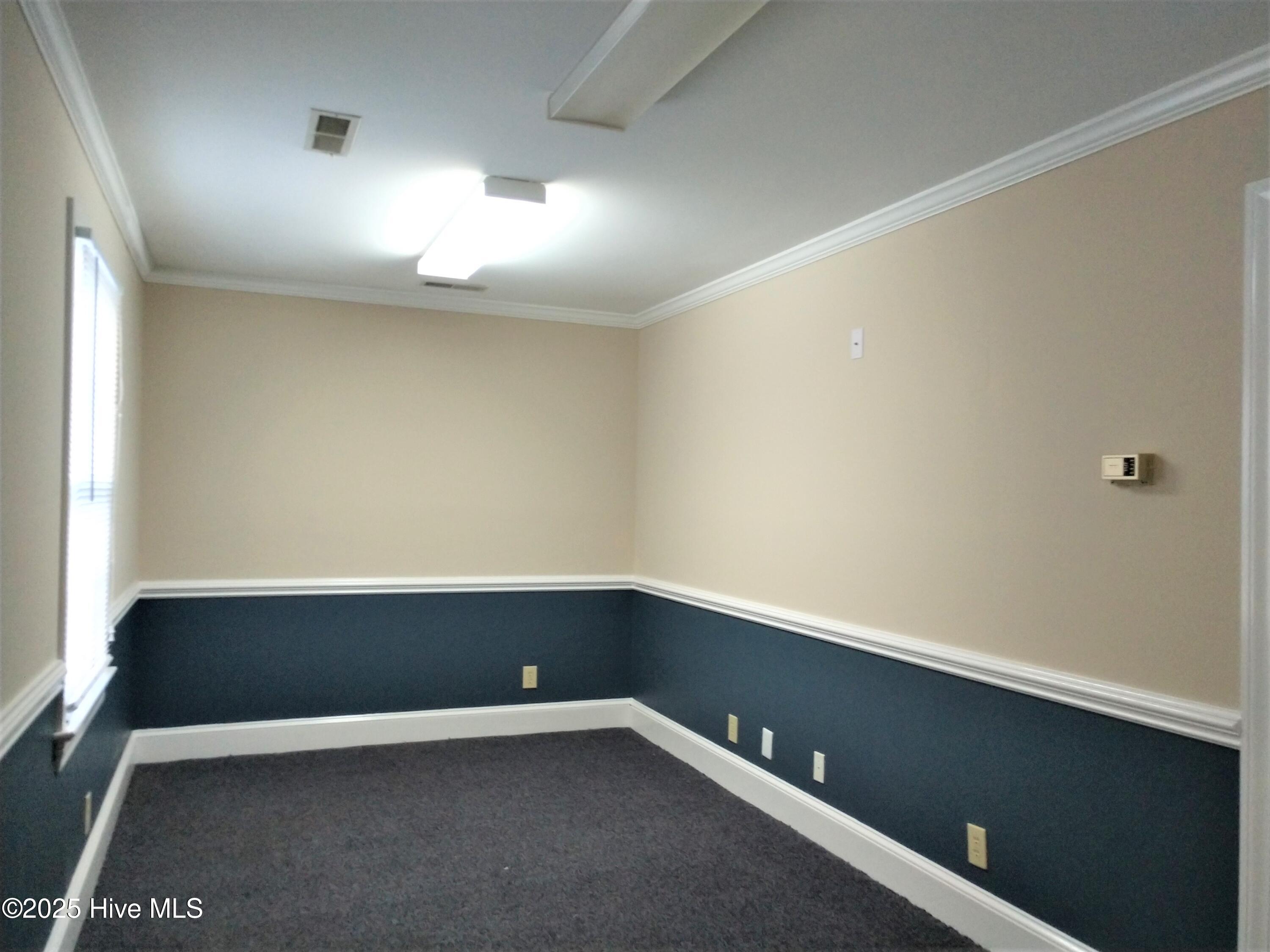 823 Evans Street C Property Photo 6