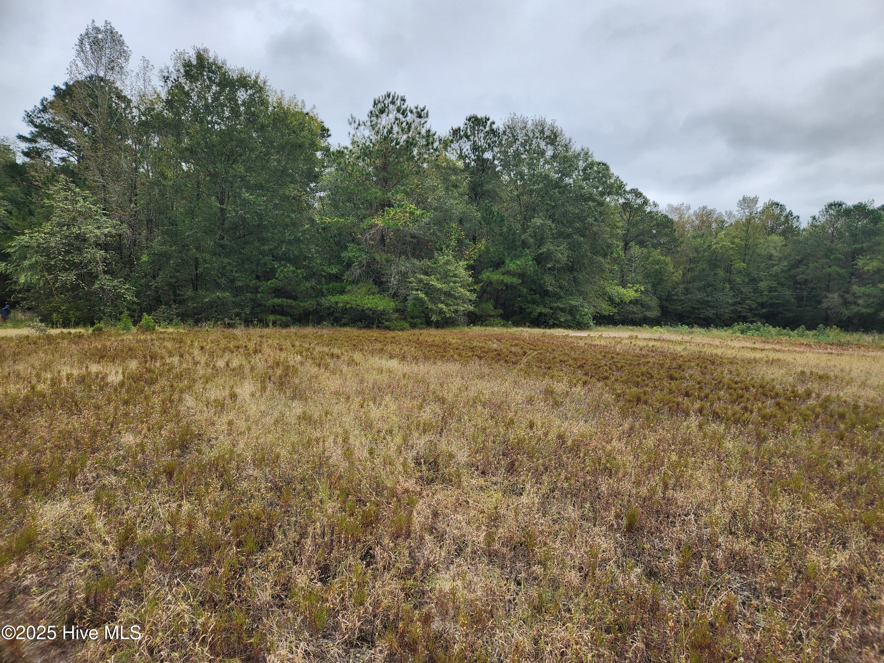 210 Hwy Property Photo 5