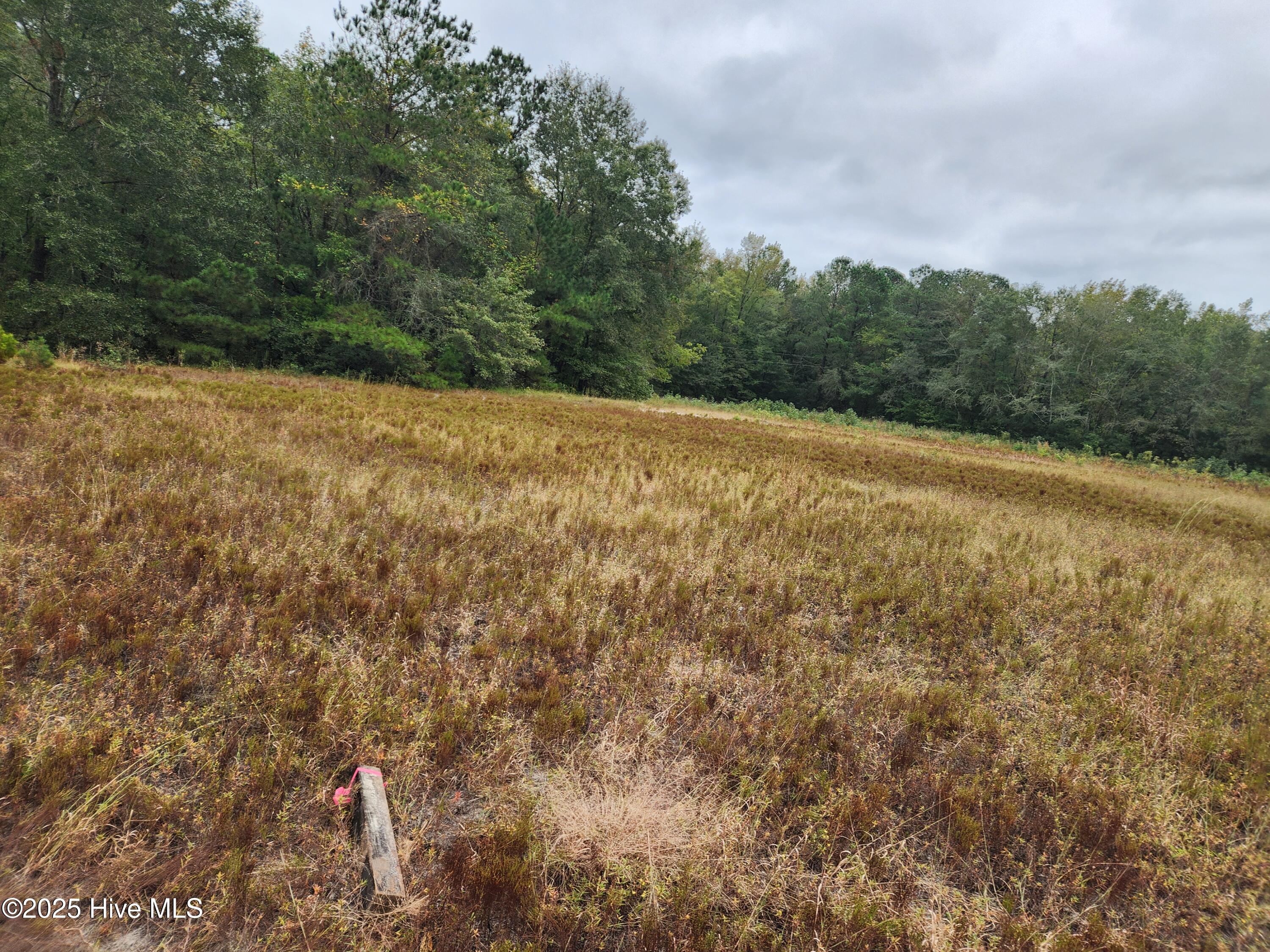 210 Hwy Property Photo 6