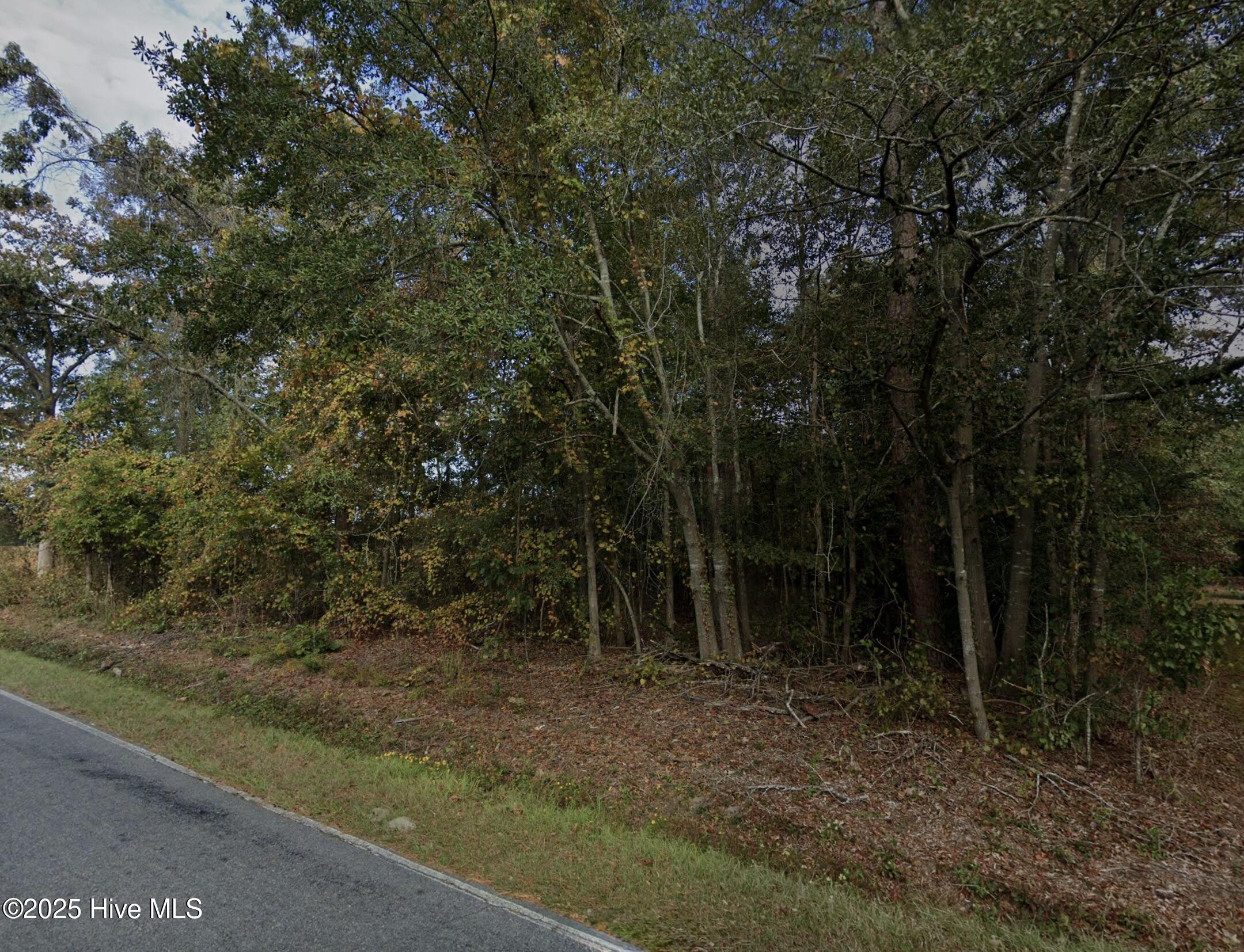 0 Radford Road Property Photo 2