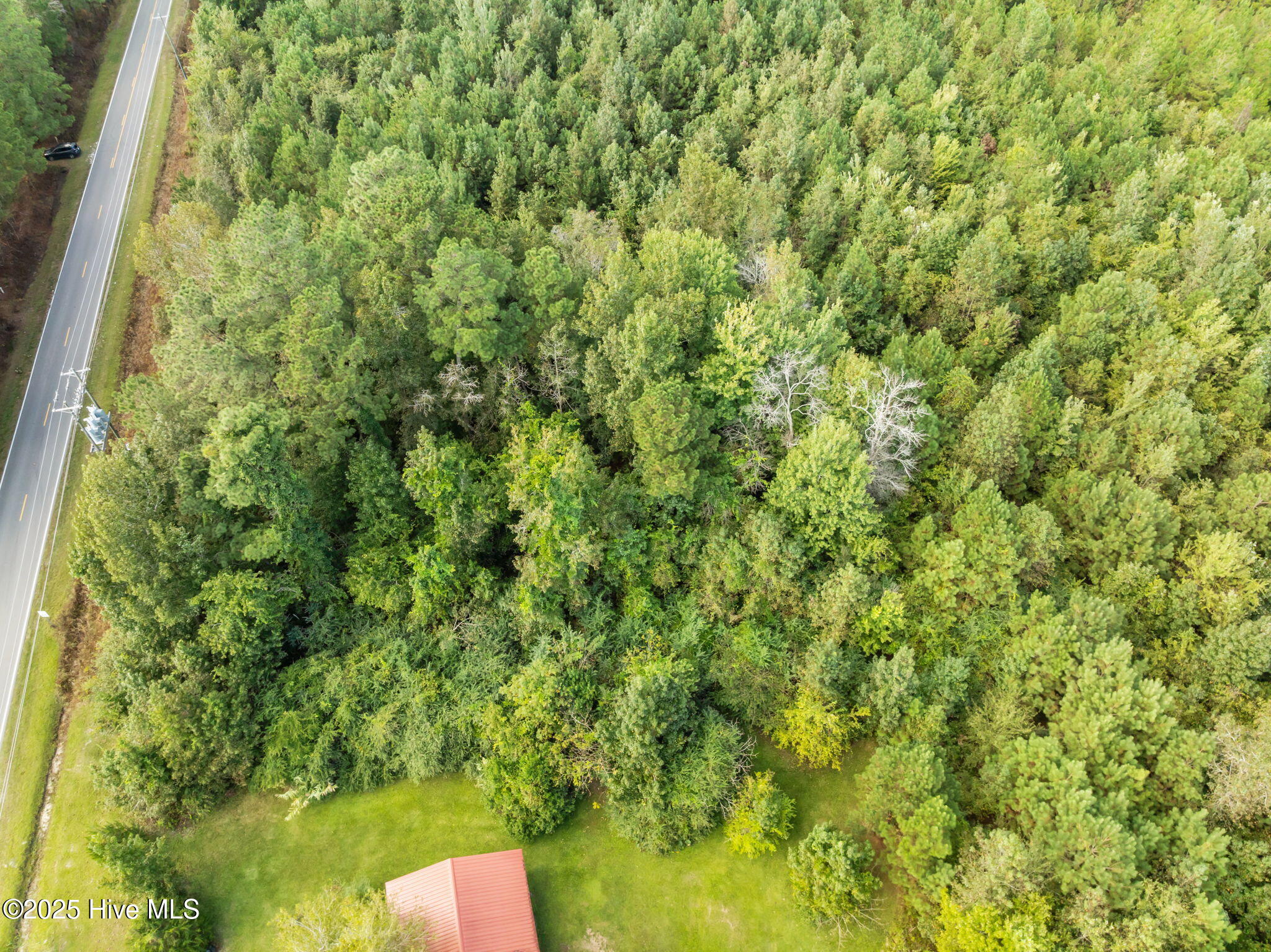 Tbd Gurganus Road Property Photo 6