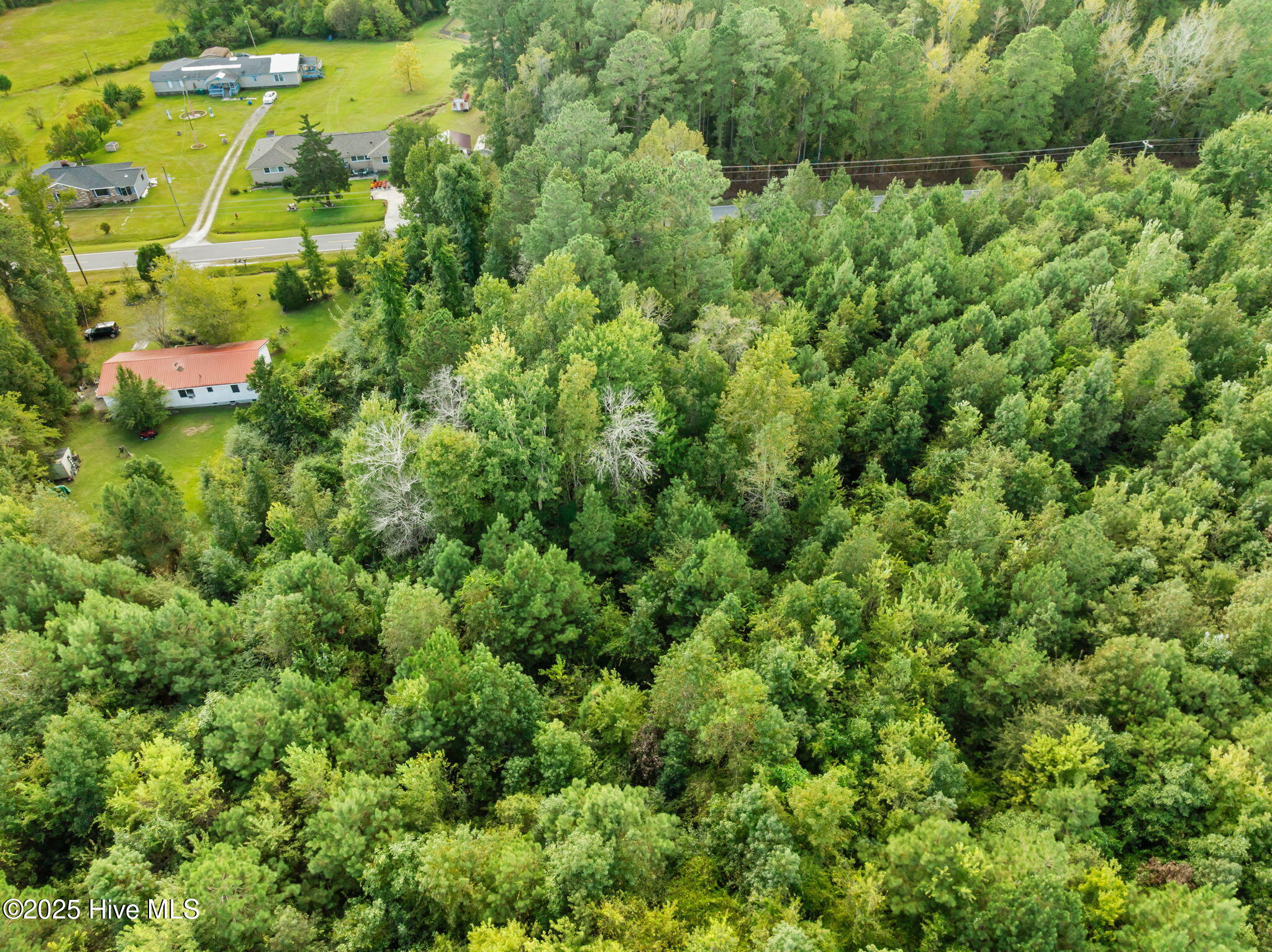 Tbd Gurganus Road Property Photo 7