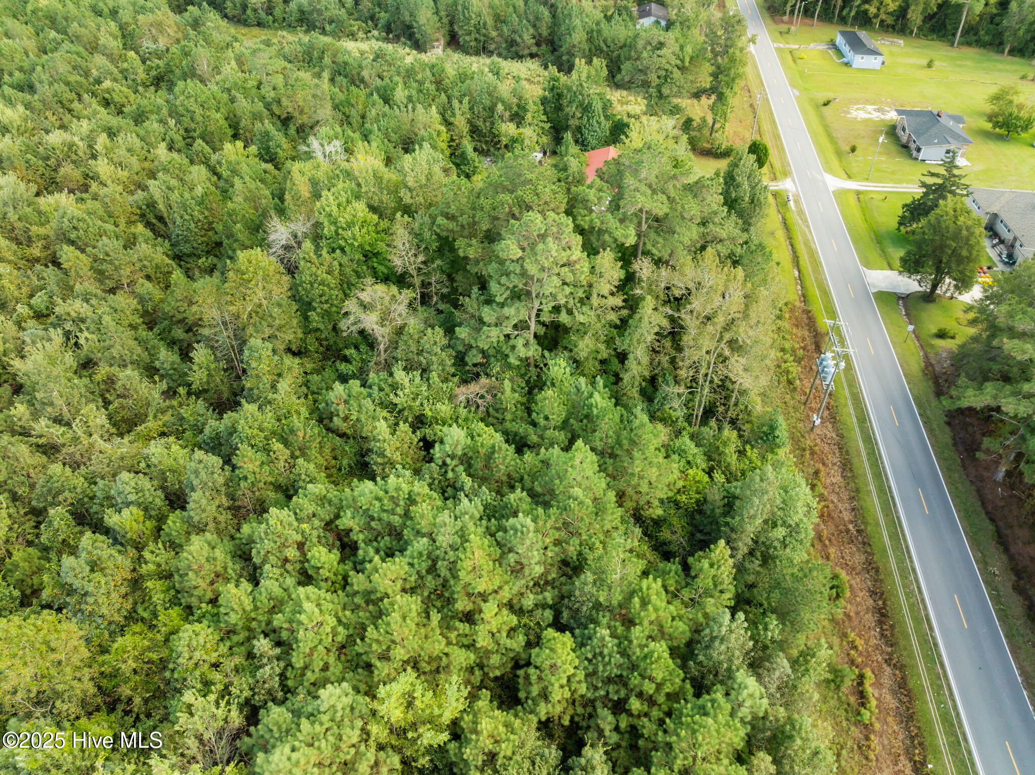 Tbd Gurganus Road Property Photo 9