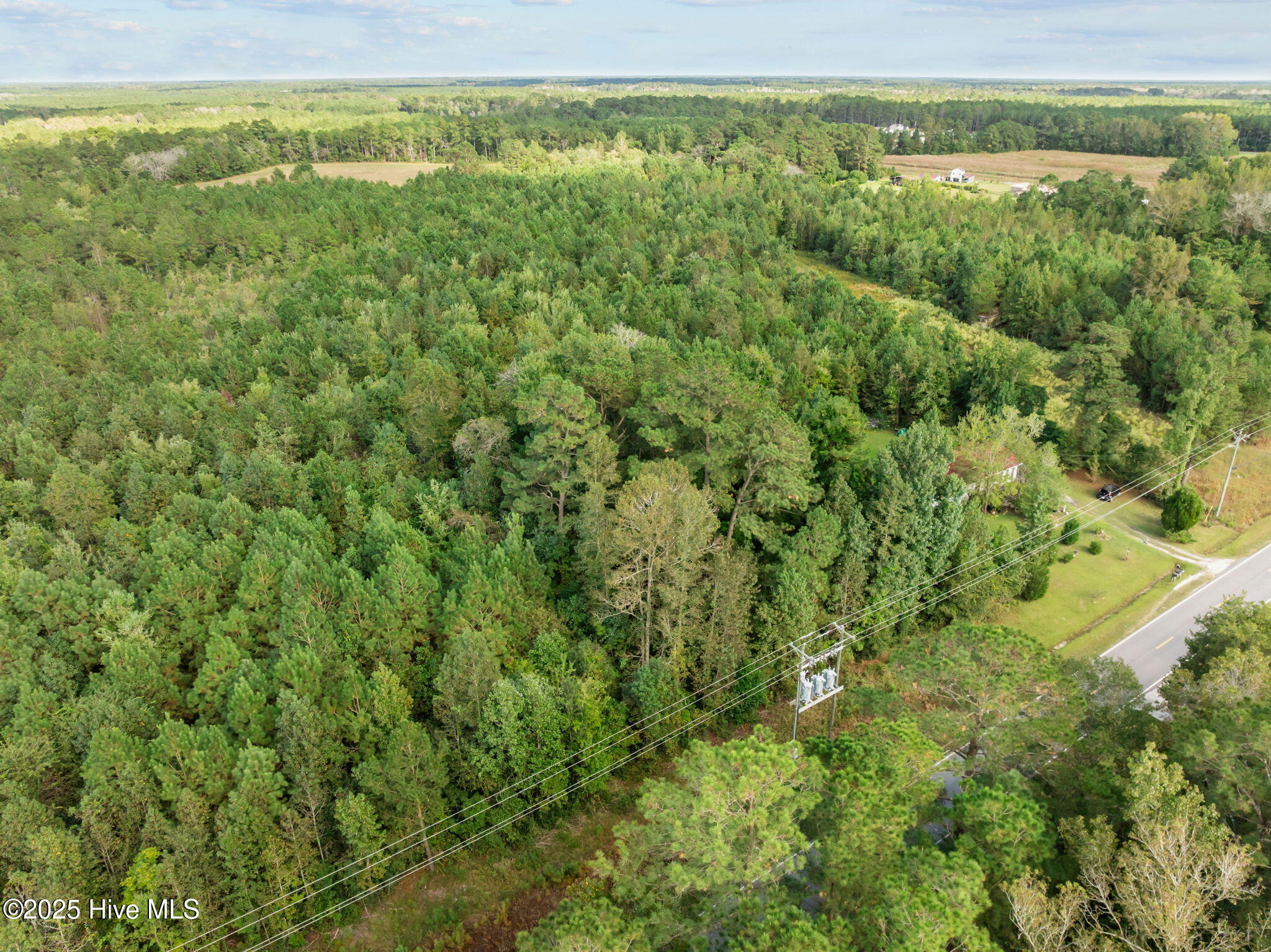 Tbd Gurganus Road Property Photo 15