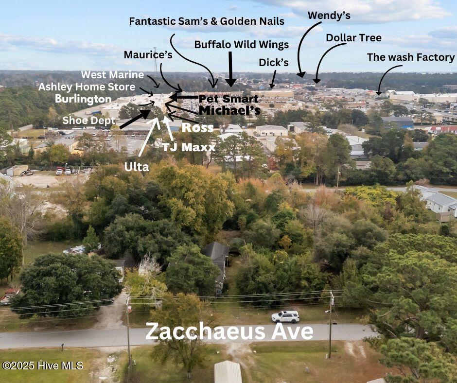 137 Zacchaeus Avenue Property Photo 14
