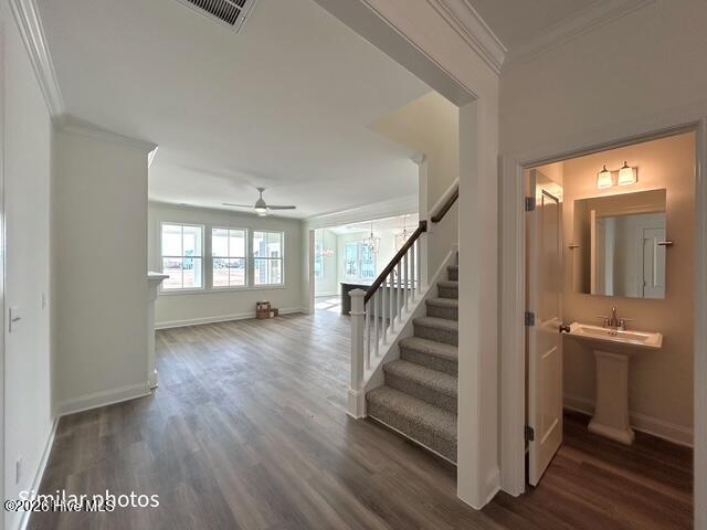 815 Sweetgrass Street Property Photo 14