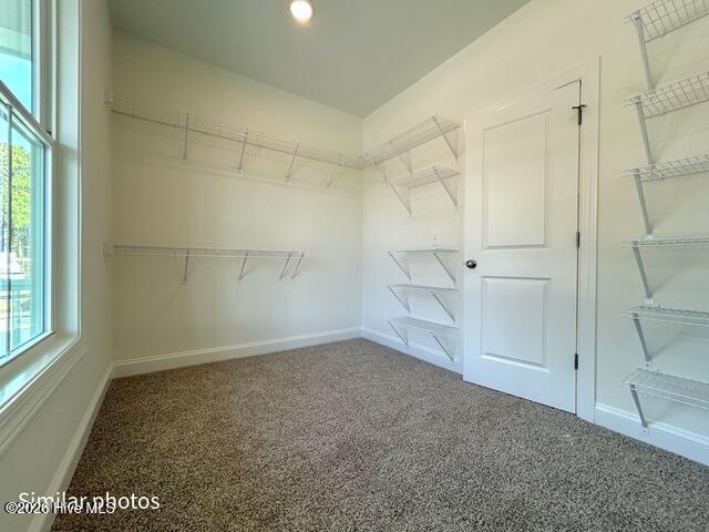 815 Sweetgrass Street Property Photo 42