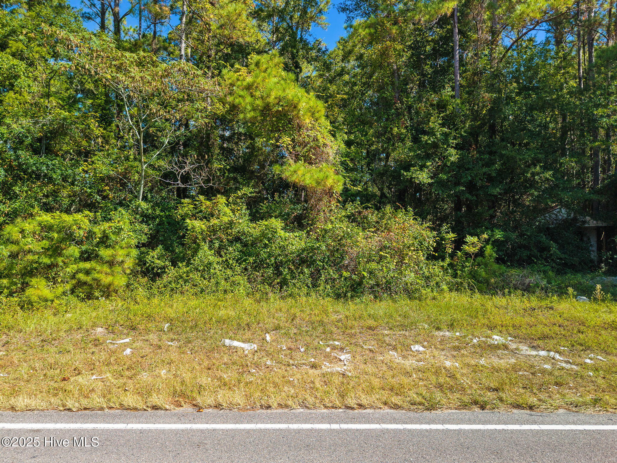 1593 Bricklanding Road Property Photo 3