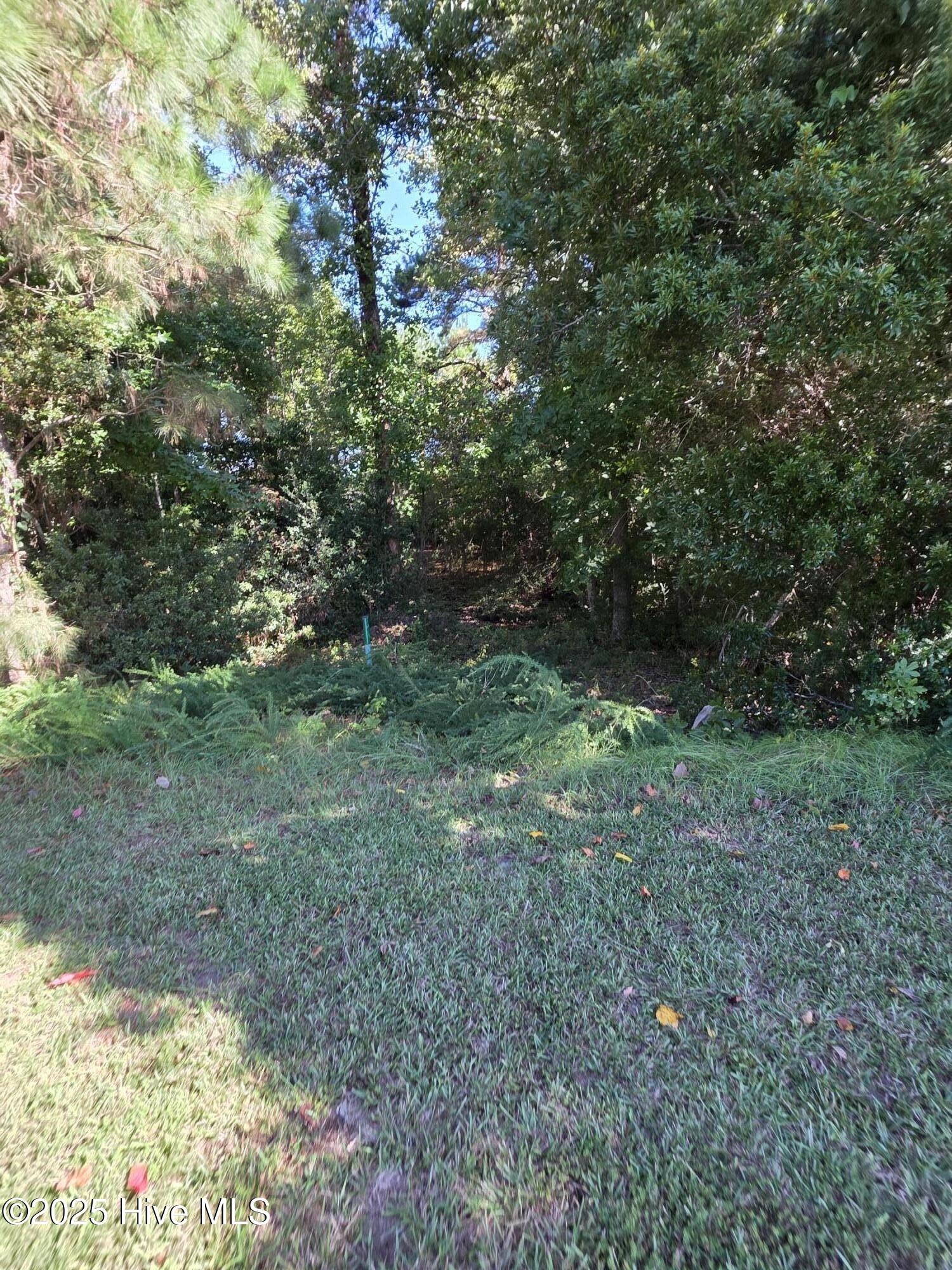 201 Marshside Landing Property Photo 31