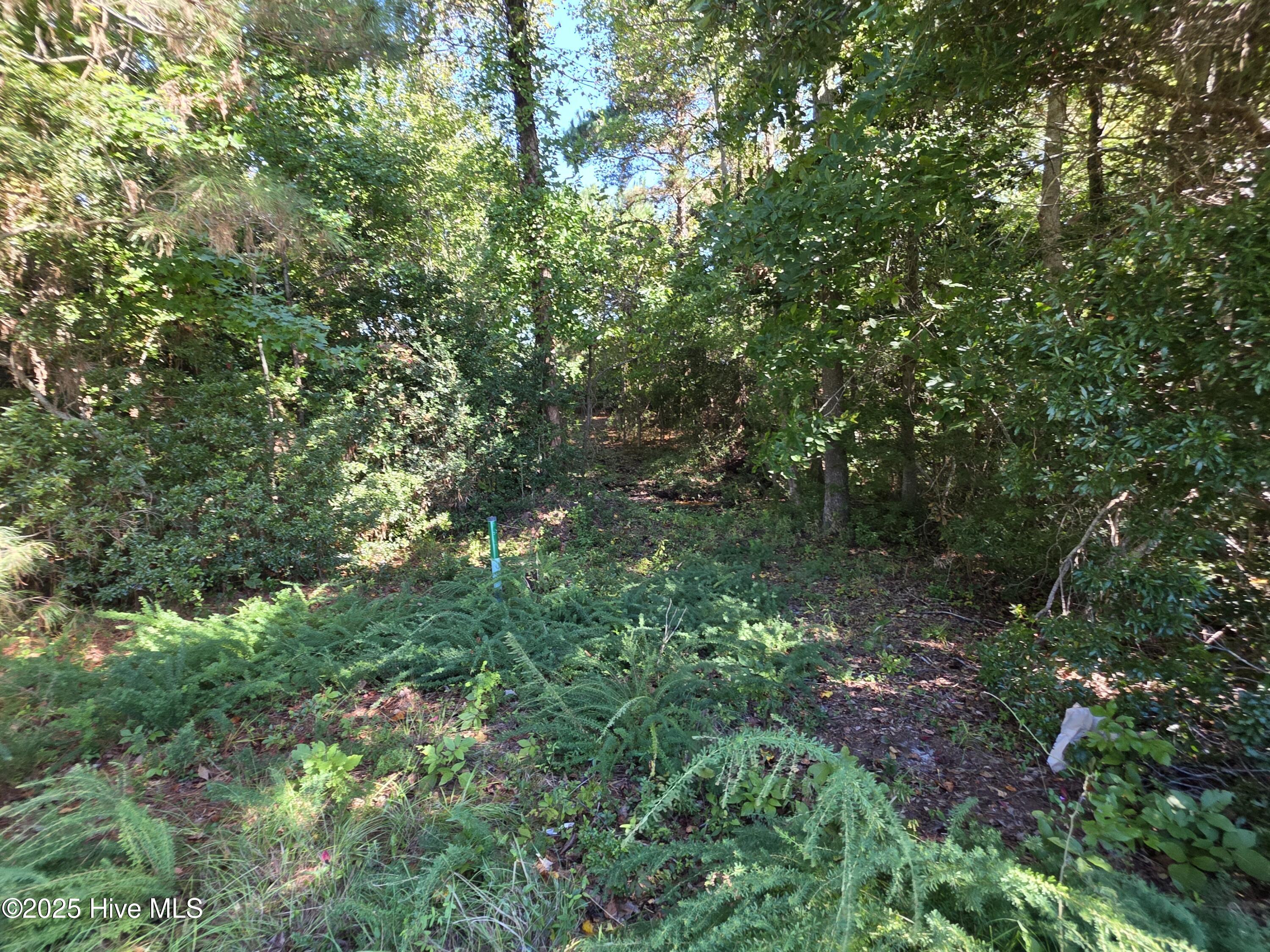 201 Marshside Landing Property Photo 32