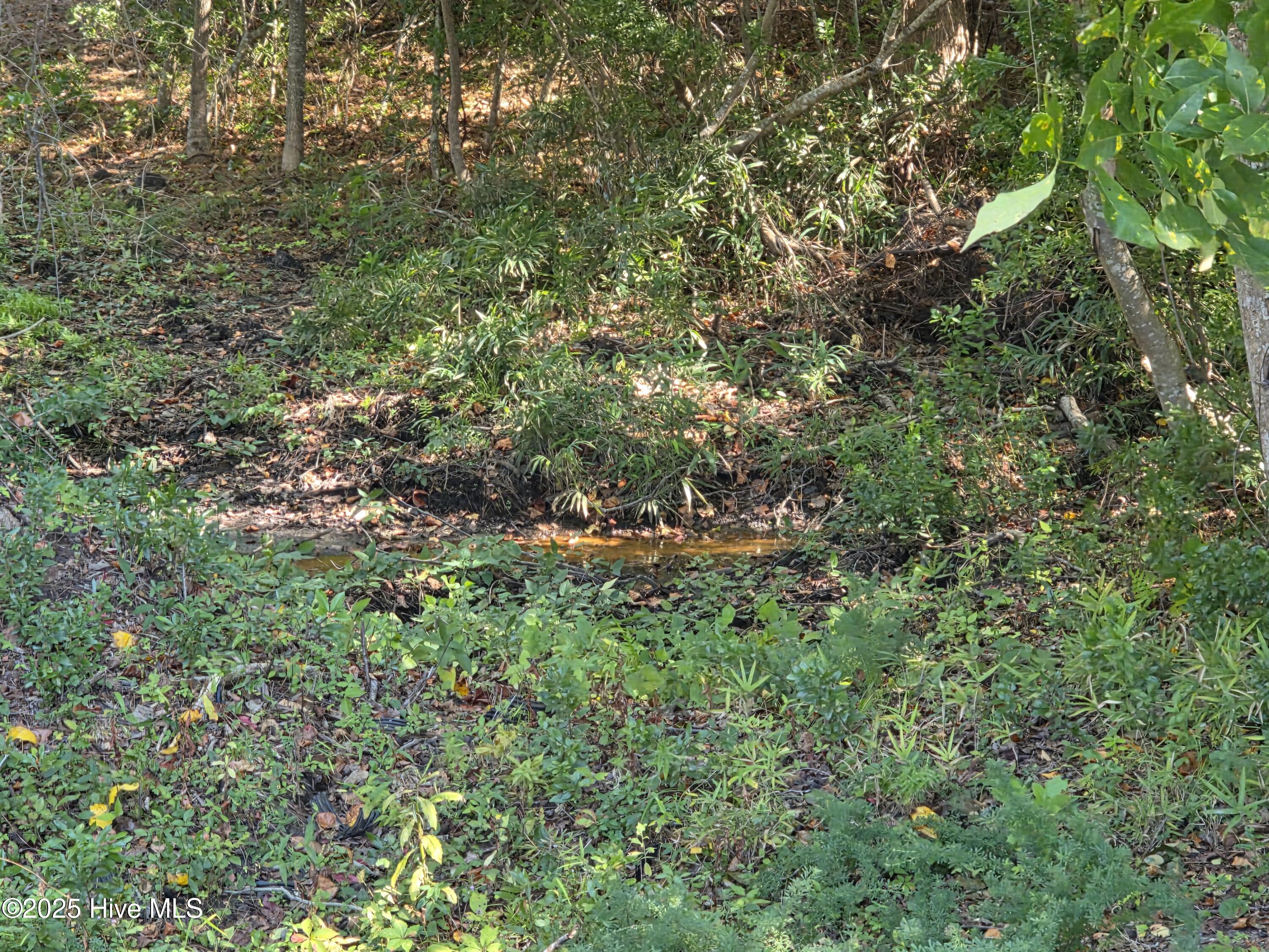 201 Marshside Landing Property Photo 33