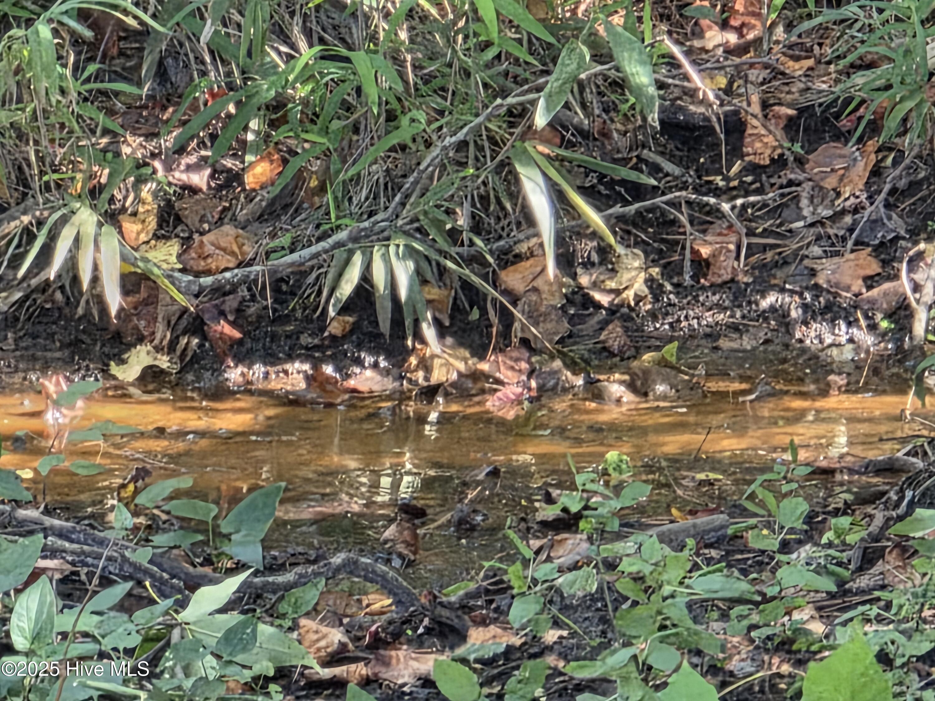 201 Marshside Landing Property Photo 34