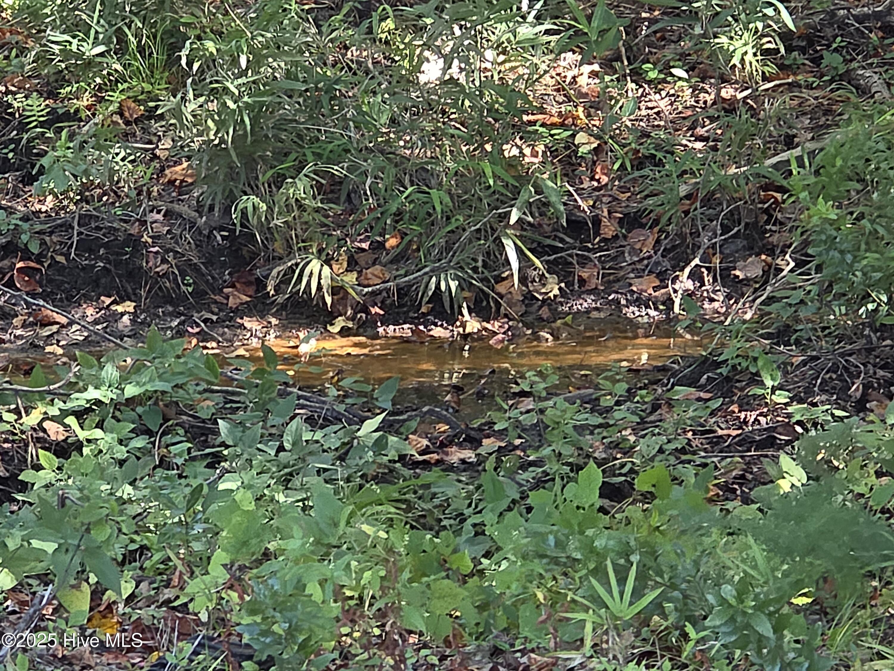 201 Marshside Landing Property Photo 35