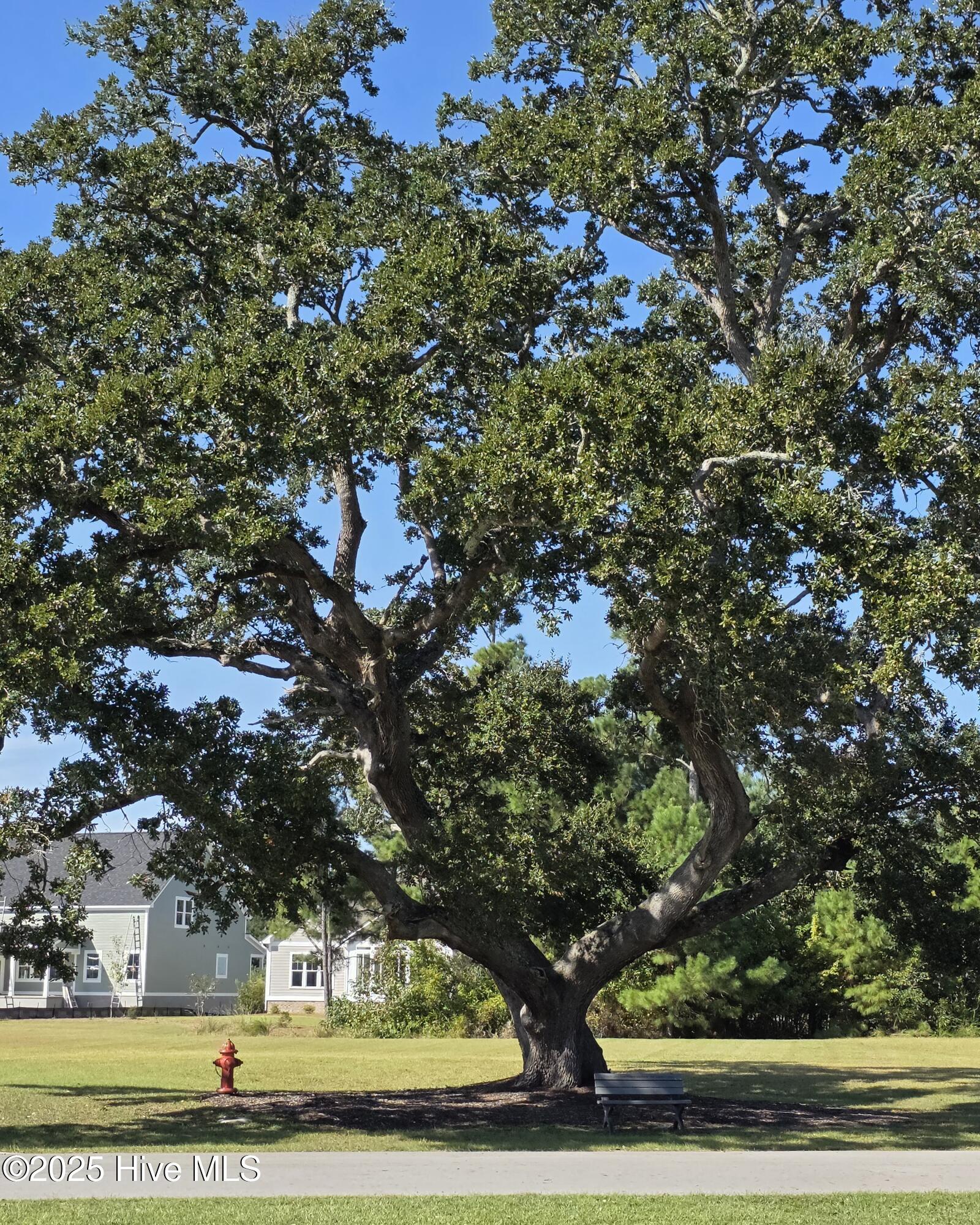 201 Marshside Landing Property Photo 36