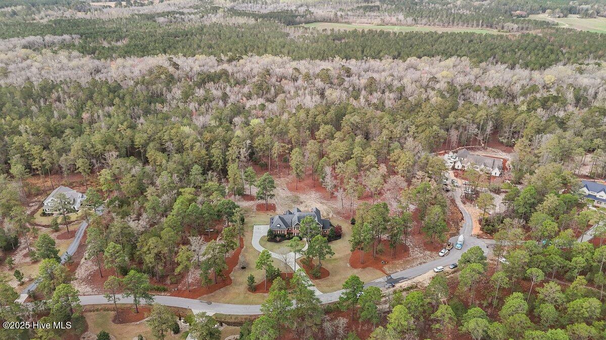 549 Grande Pines Vista Property Photo 27