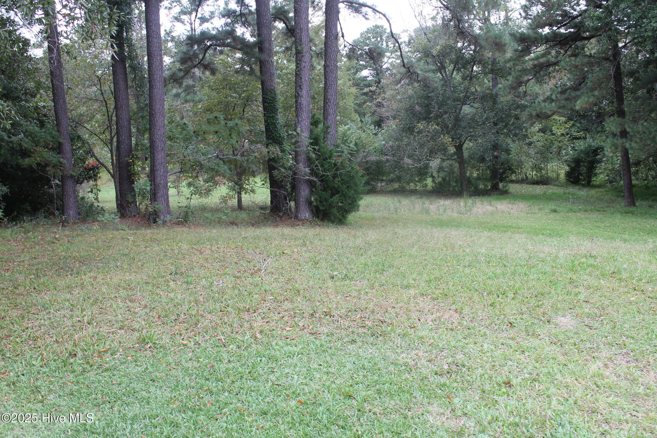 1312 Sunny Side Street Property Photo 9