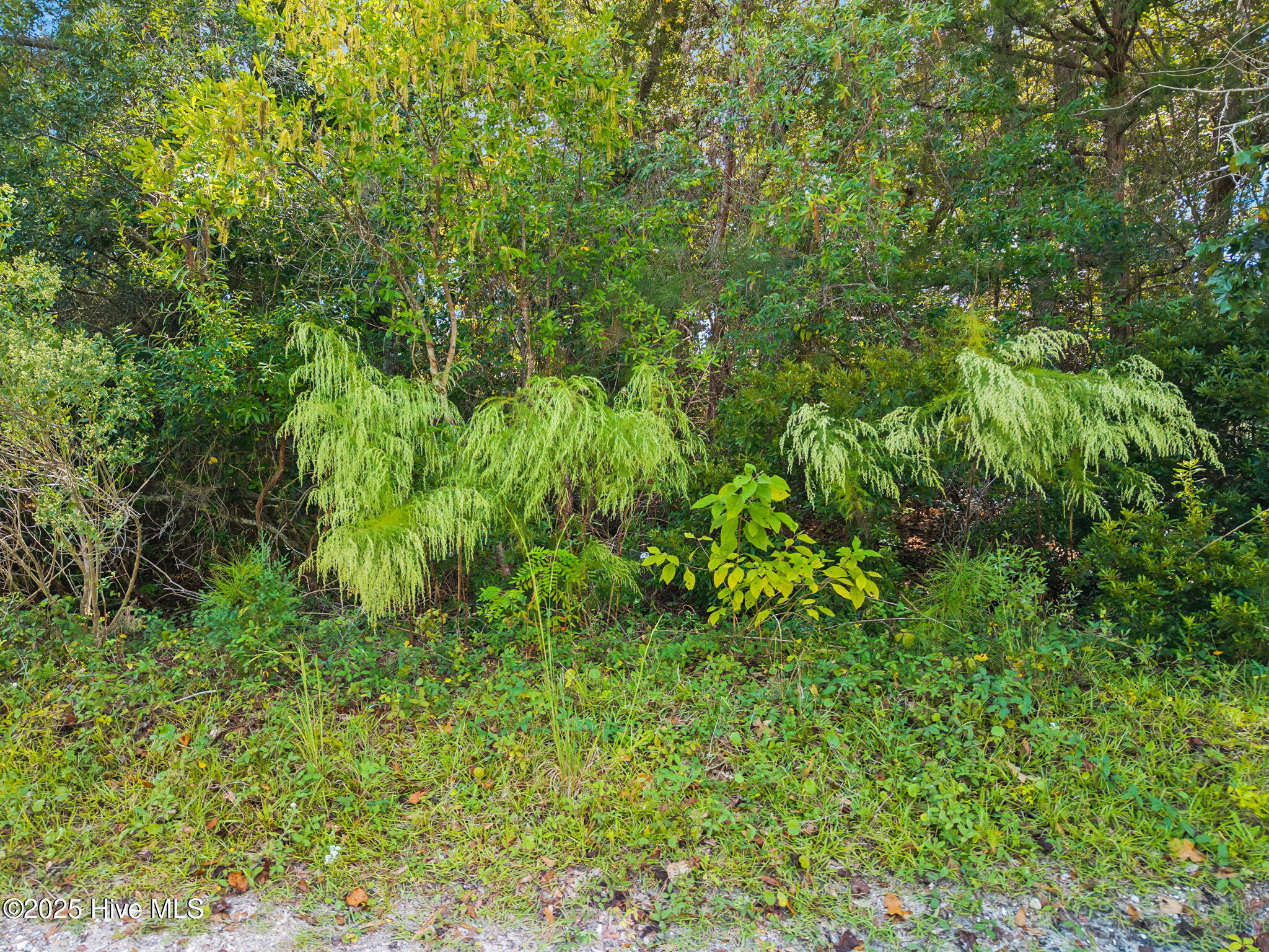 2895 Jeremy Street Property Photo 2