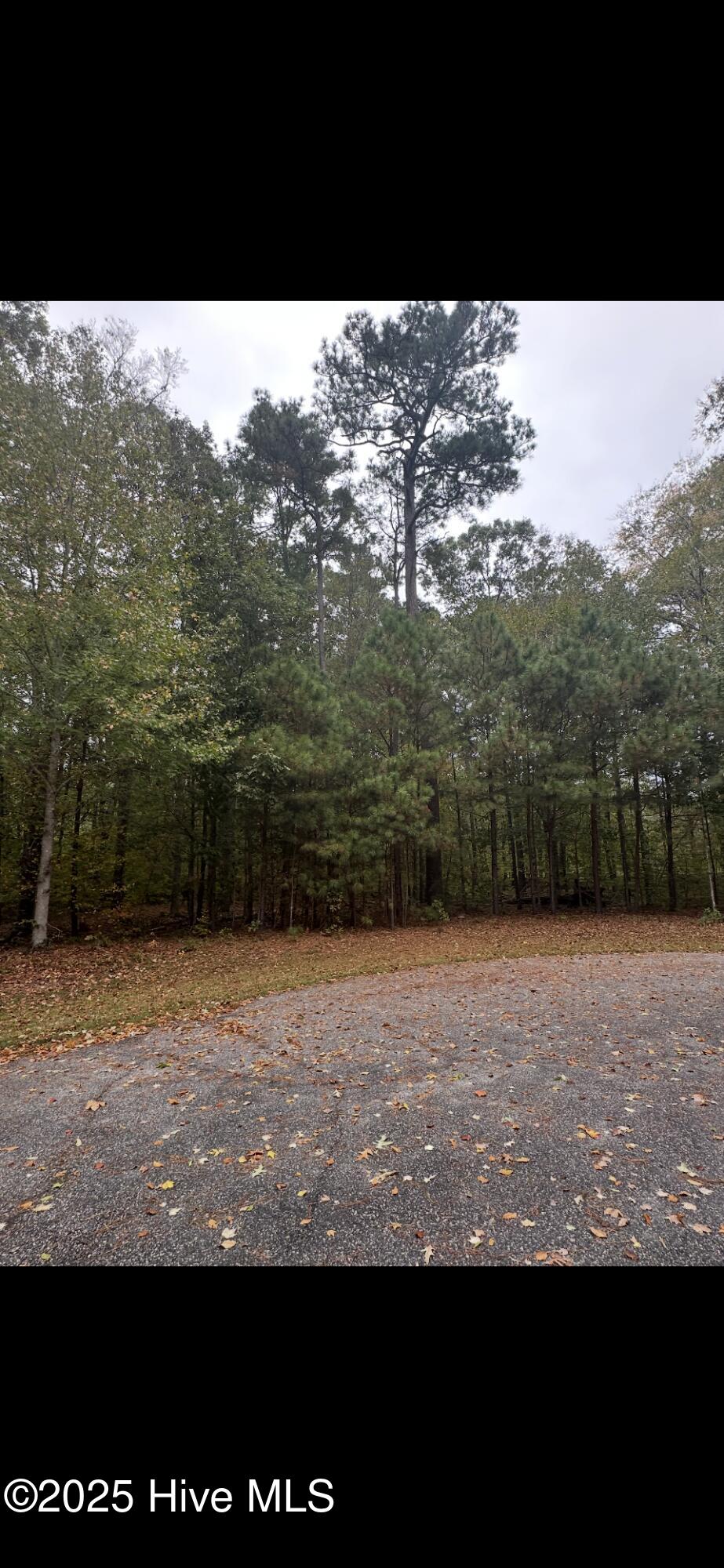 14 Broad River Drive Property Photo 1