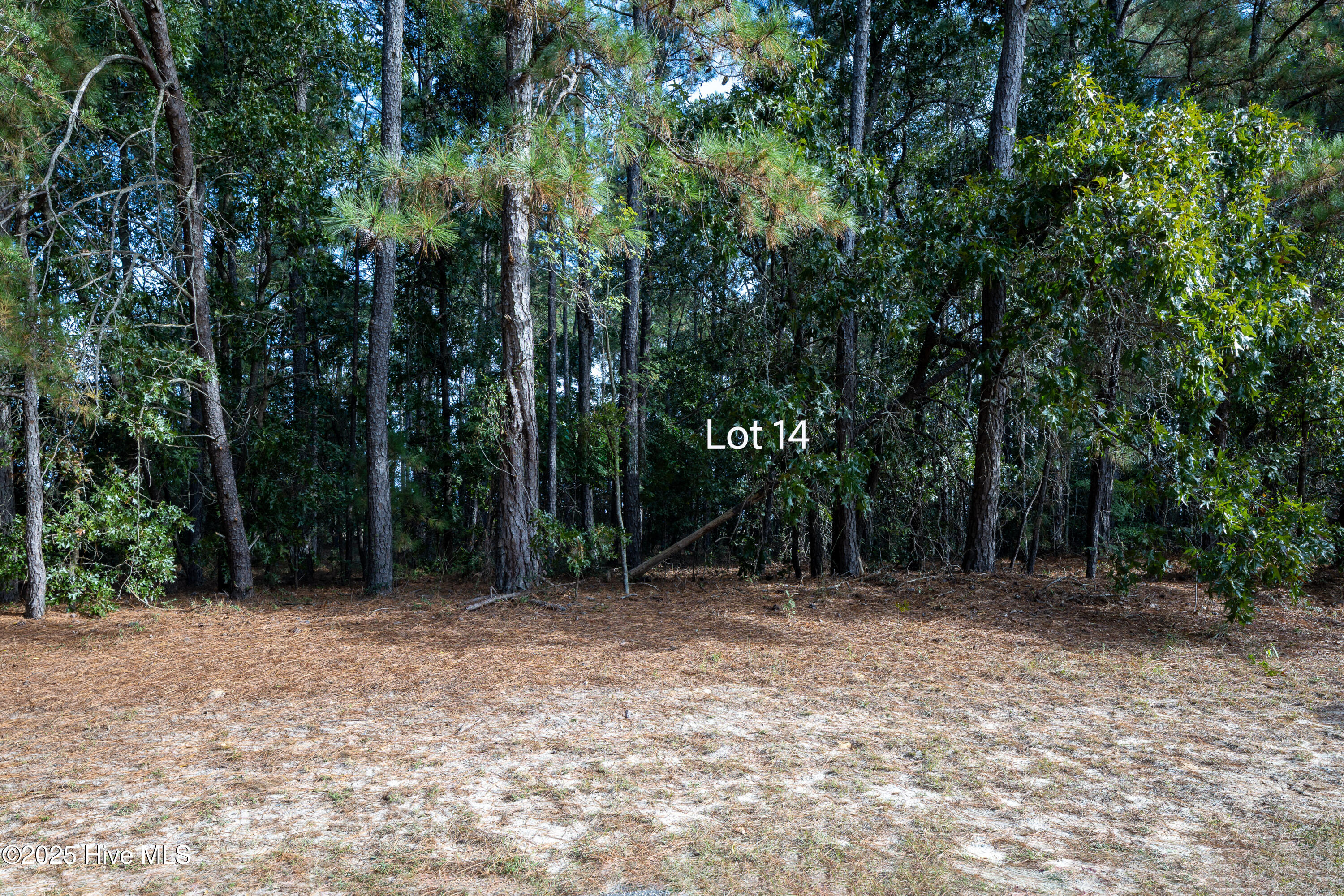 14 14 Old Tom Morris Road Property Photo 3