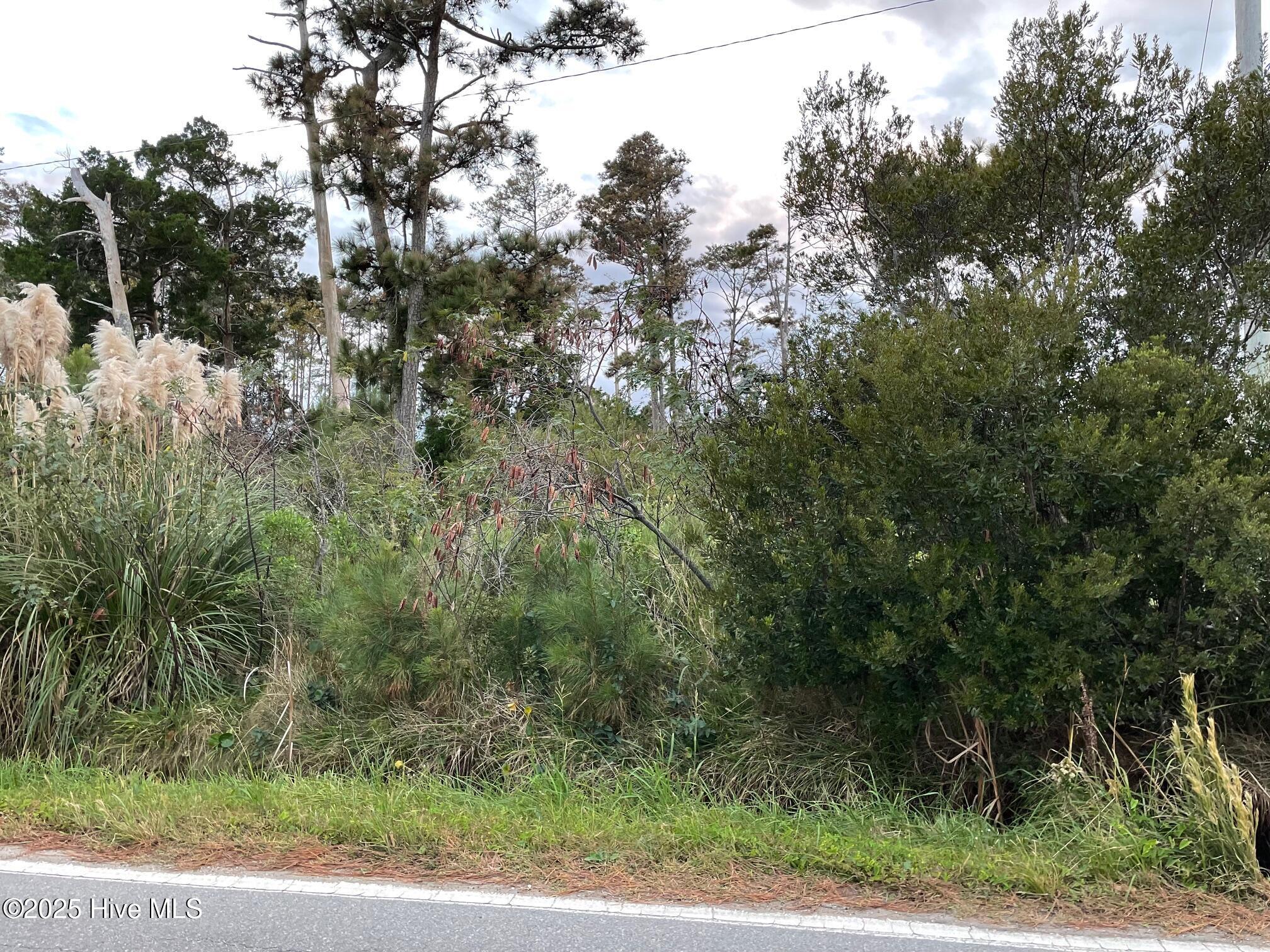 3019 Cedar Island Rd