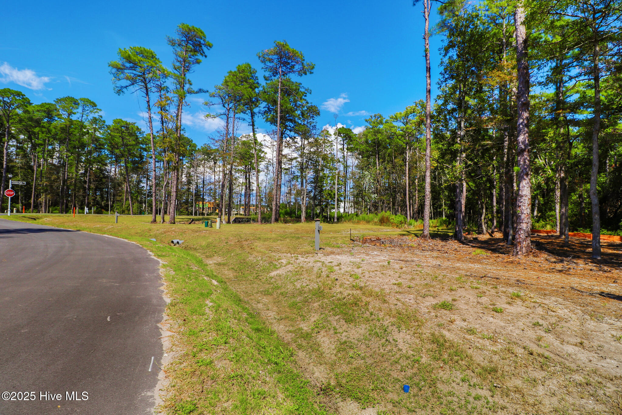 420 Summer Duck Drive Property Photo 4