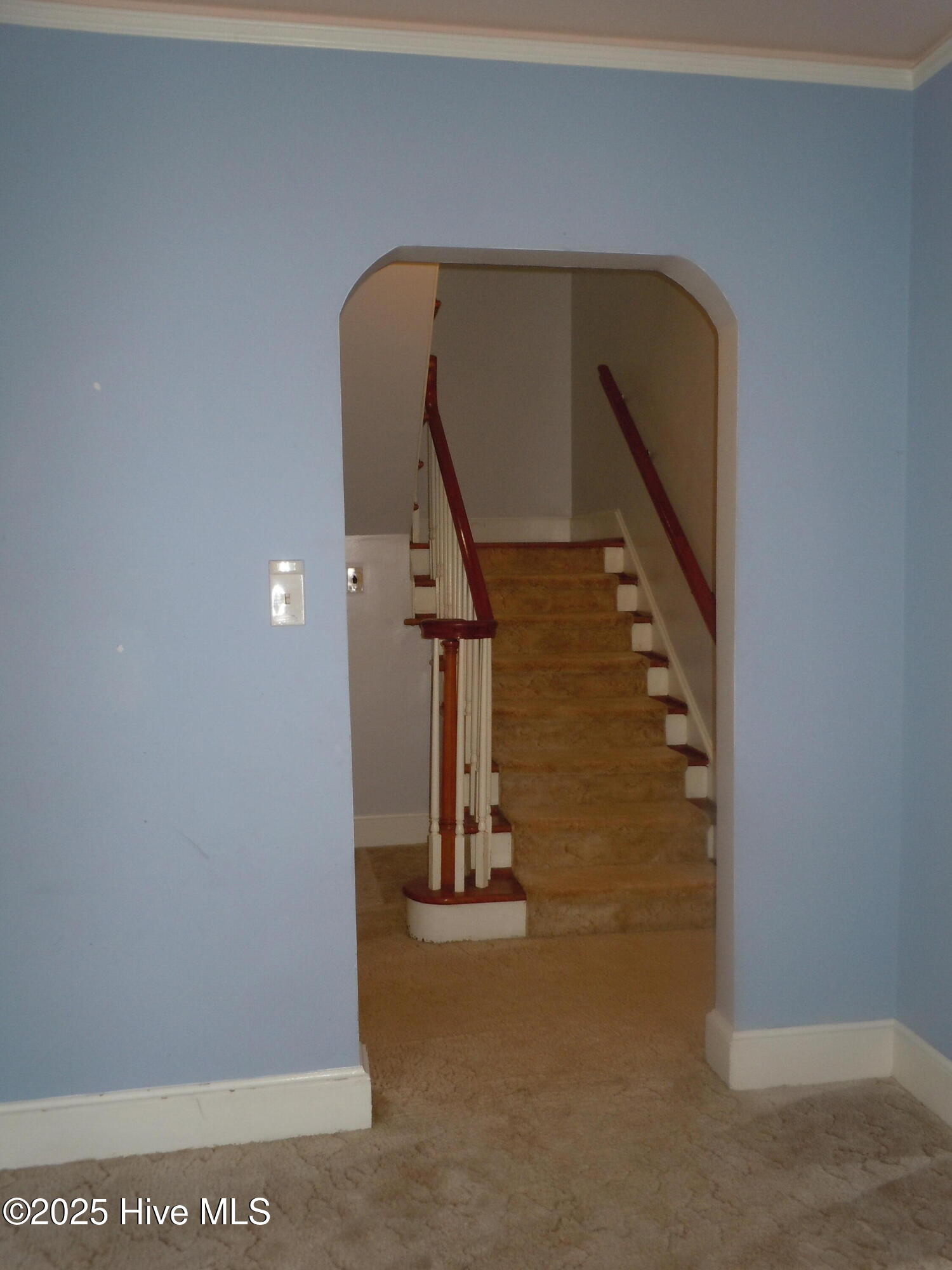 110 E Bell Street Property Photo 19