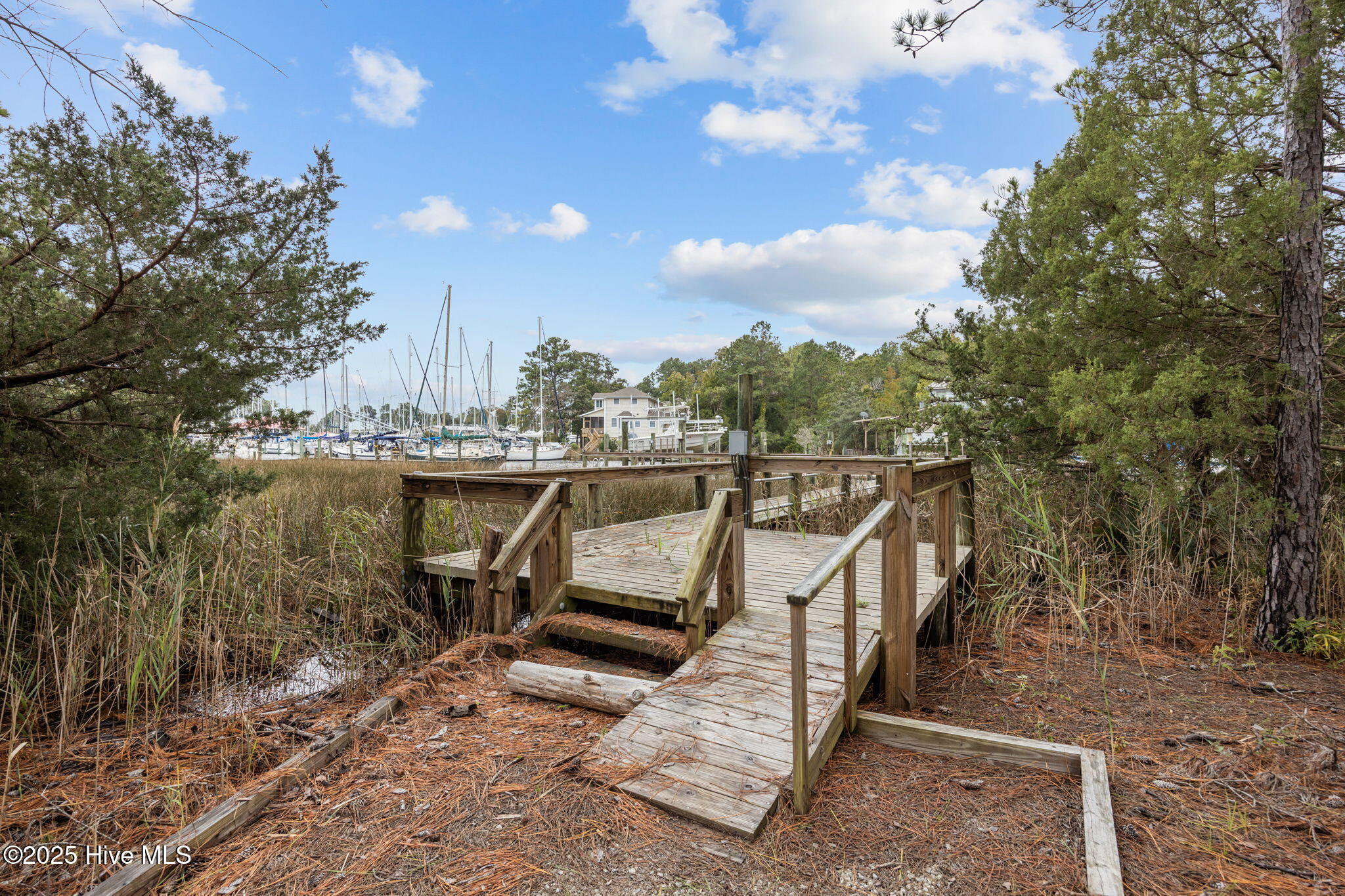 402 Whittaker Point Road Property Photo 52