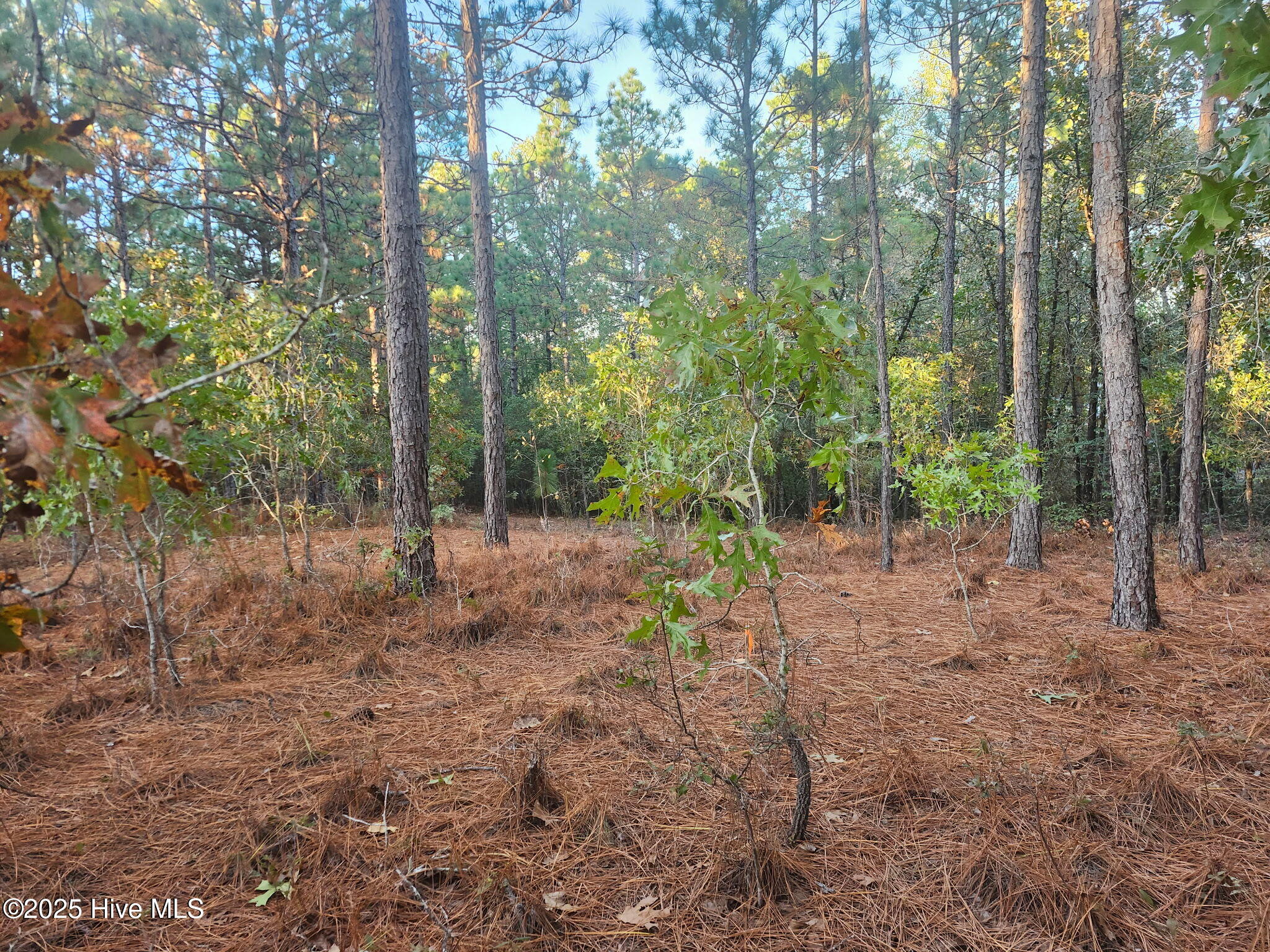4 Brassie Circle Property Photo 1