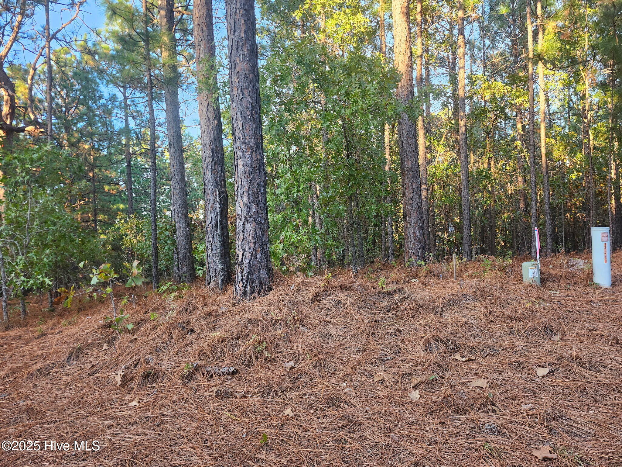 4 Brassie Circle Property Photo 2