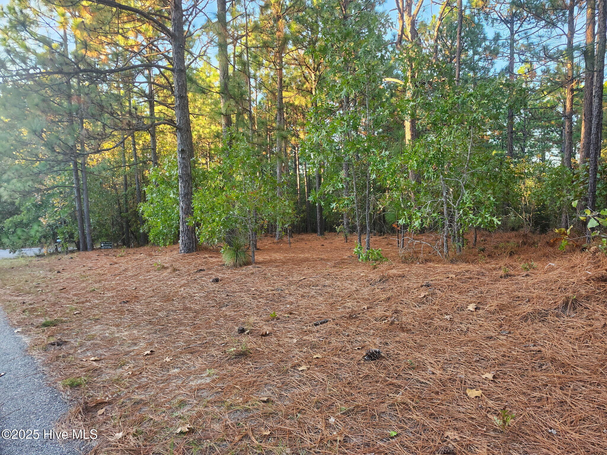 4 Brassie Circle Property Photo 3