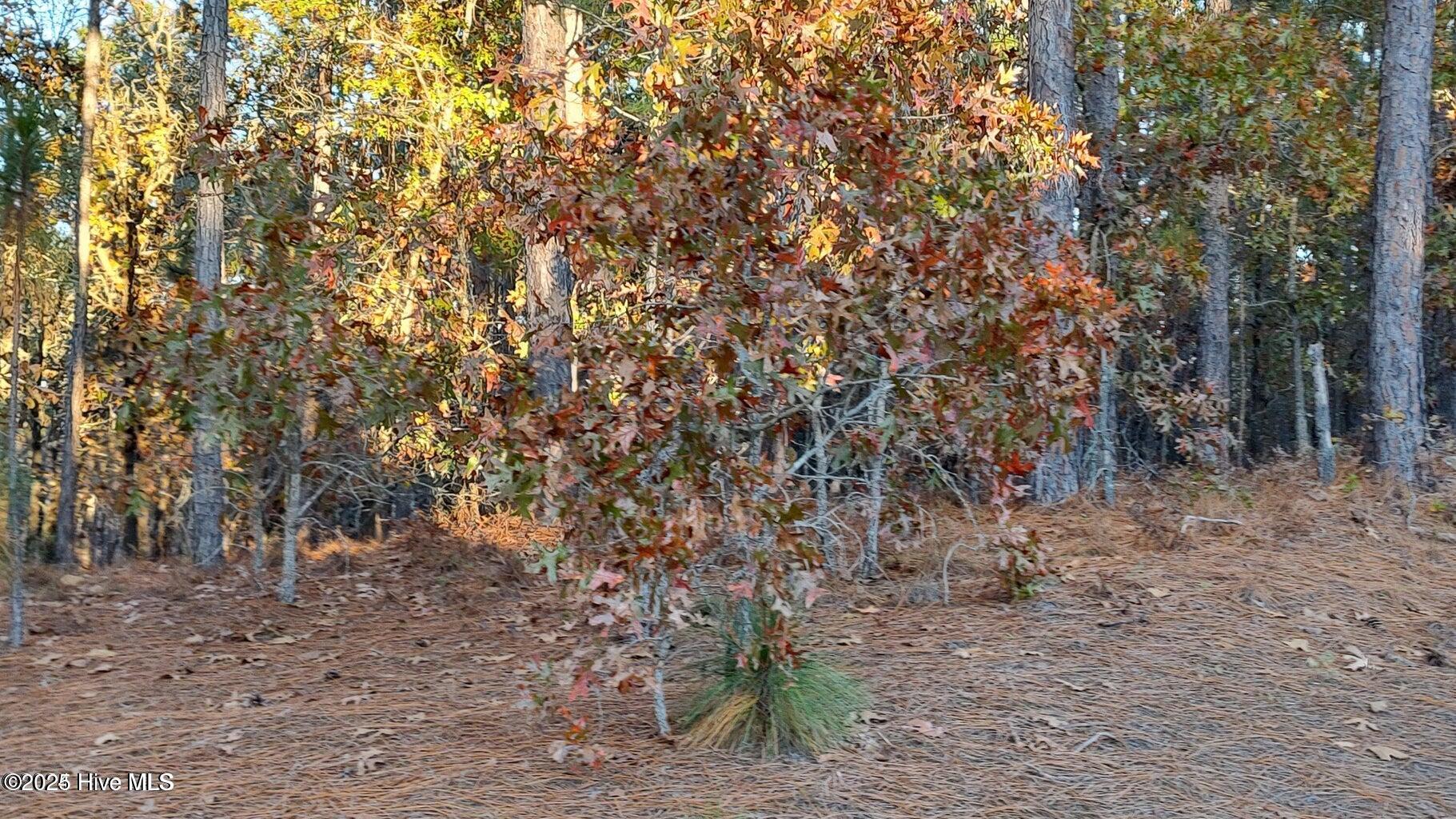 4 Brassie Circle Property Photo 4