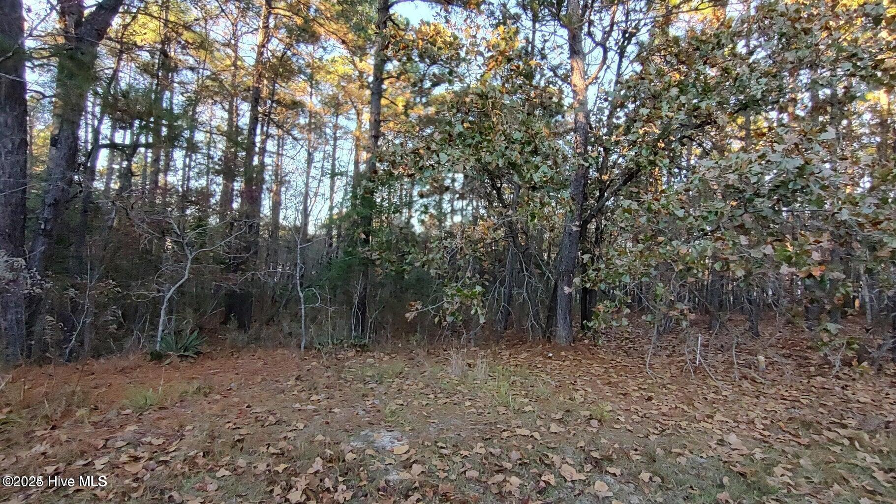 4 Brassie Circle Property Photo 5
