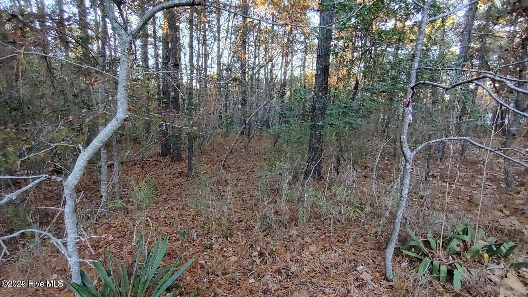 4 Brassie Circle Property Photo 6