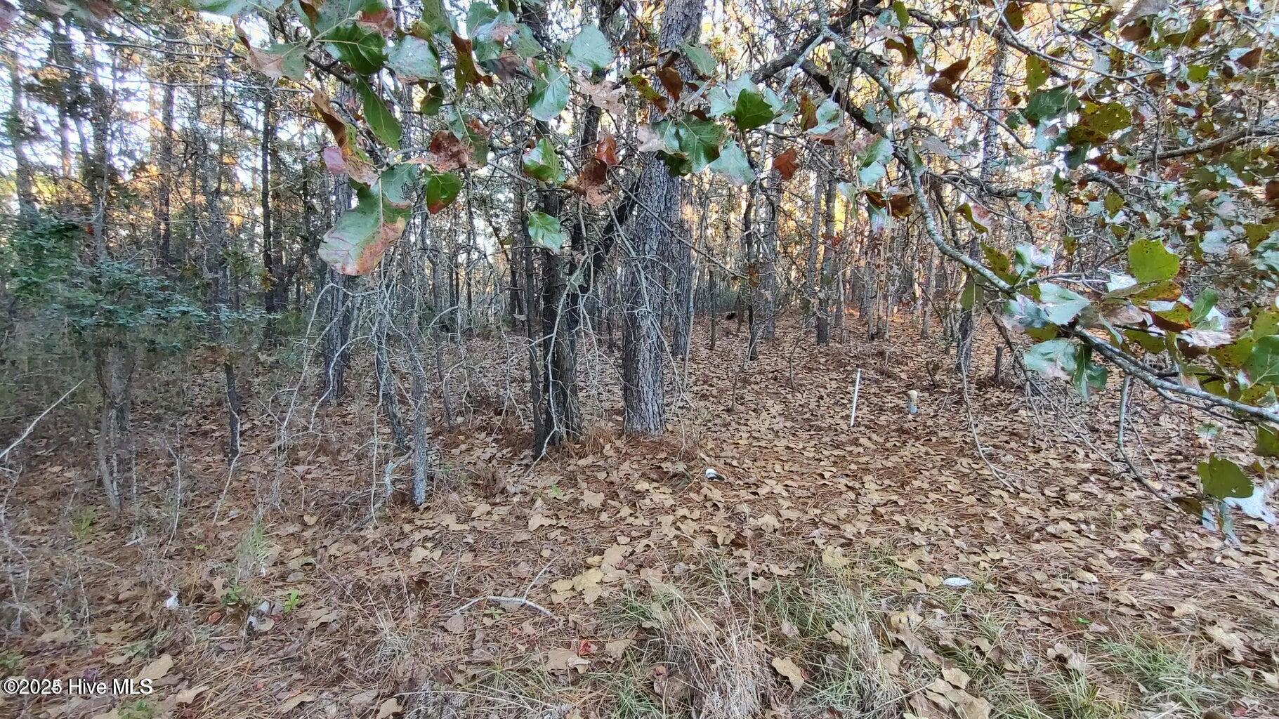 4 Brassie Circle Property Photo 7
