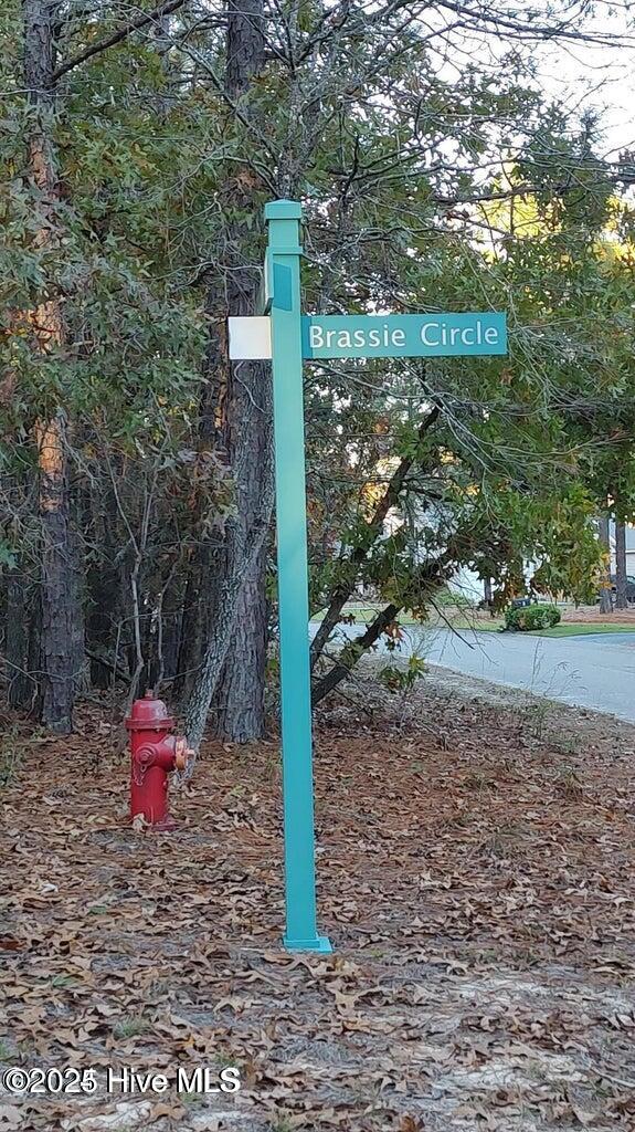 4 Brassie Circle Property Photo 11