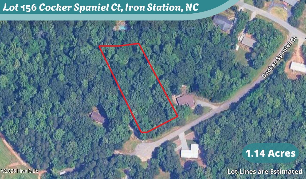 Lot 156 Cocker Spaniel Court