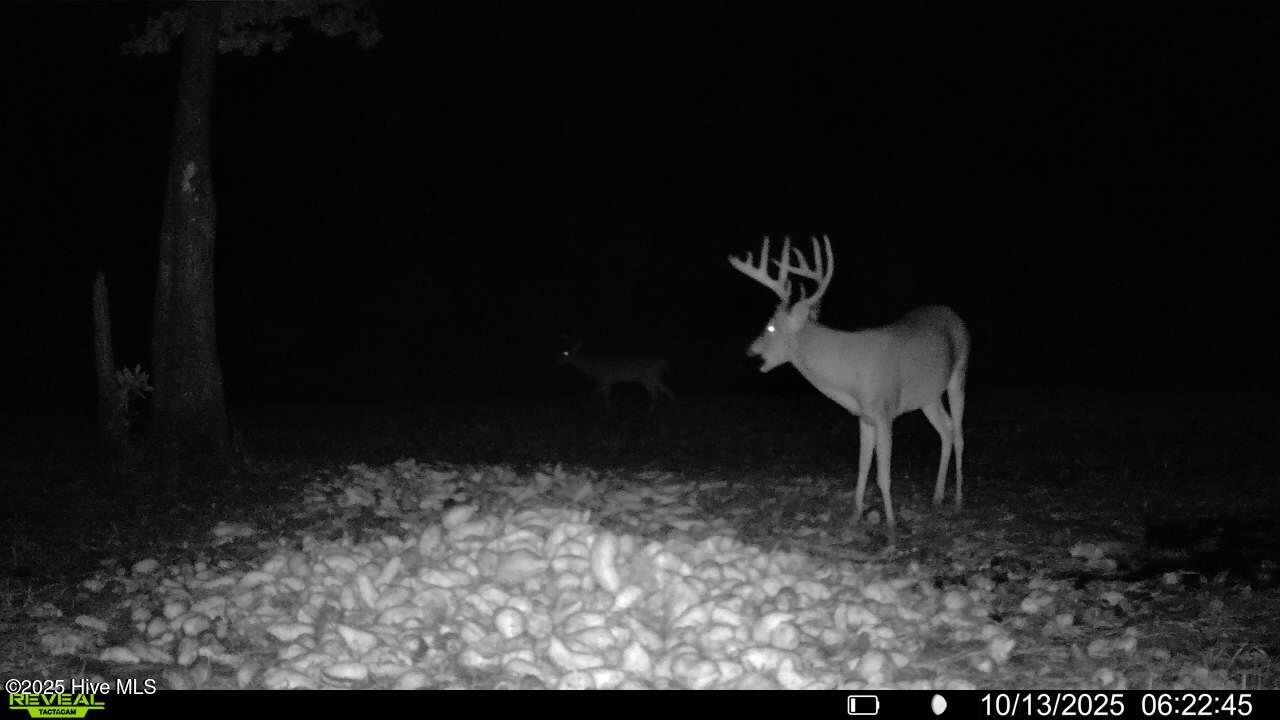 0 Atkinson Cemetery Road Property Photo 1