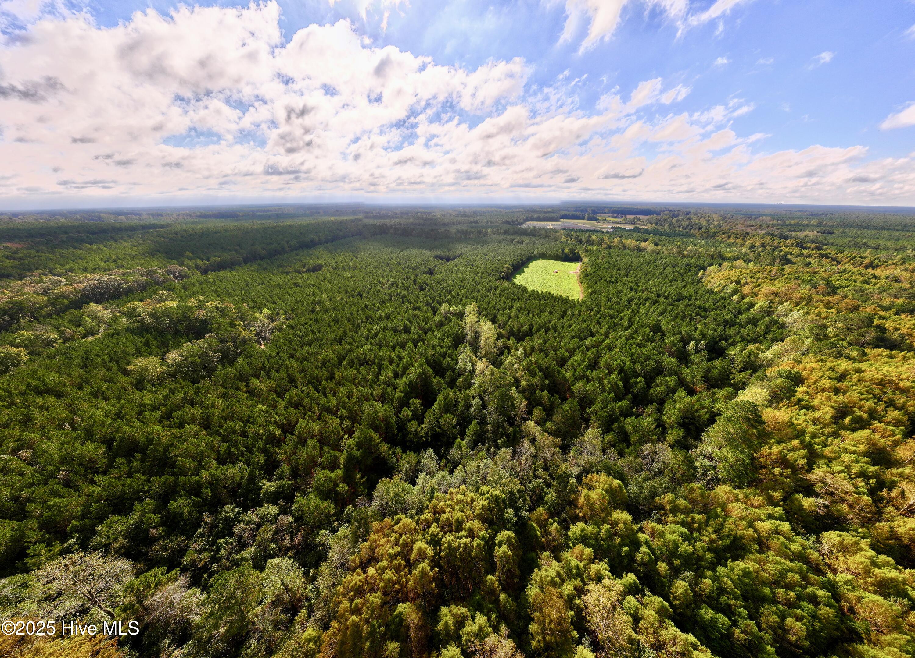 0 Atkinson Cemetery Road Property Photo 2