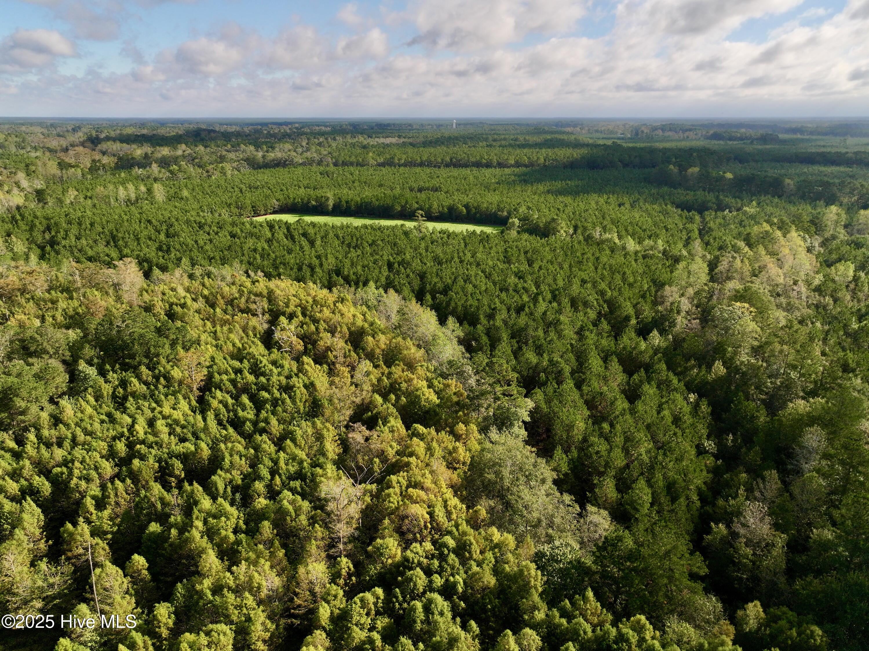 0 Atkinson Cemetery Road Property Photo 3