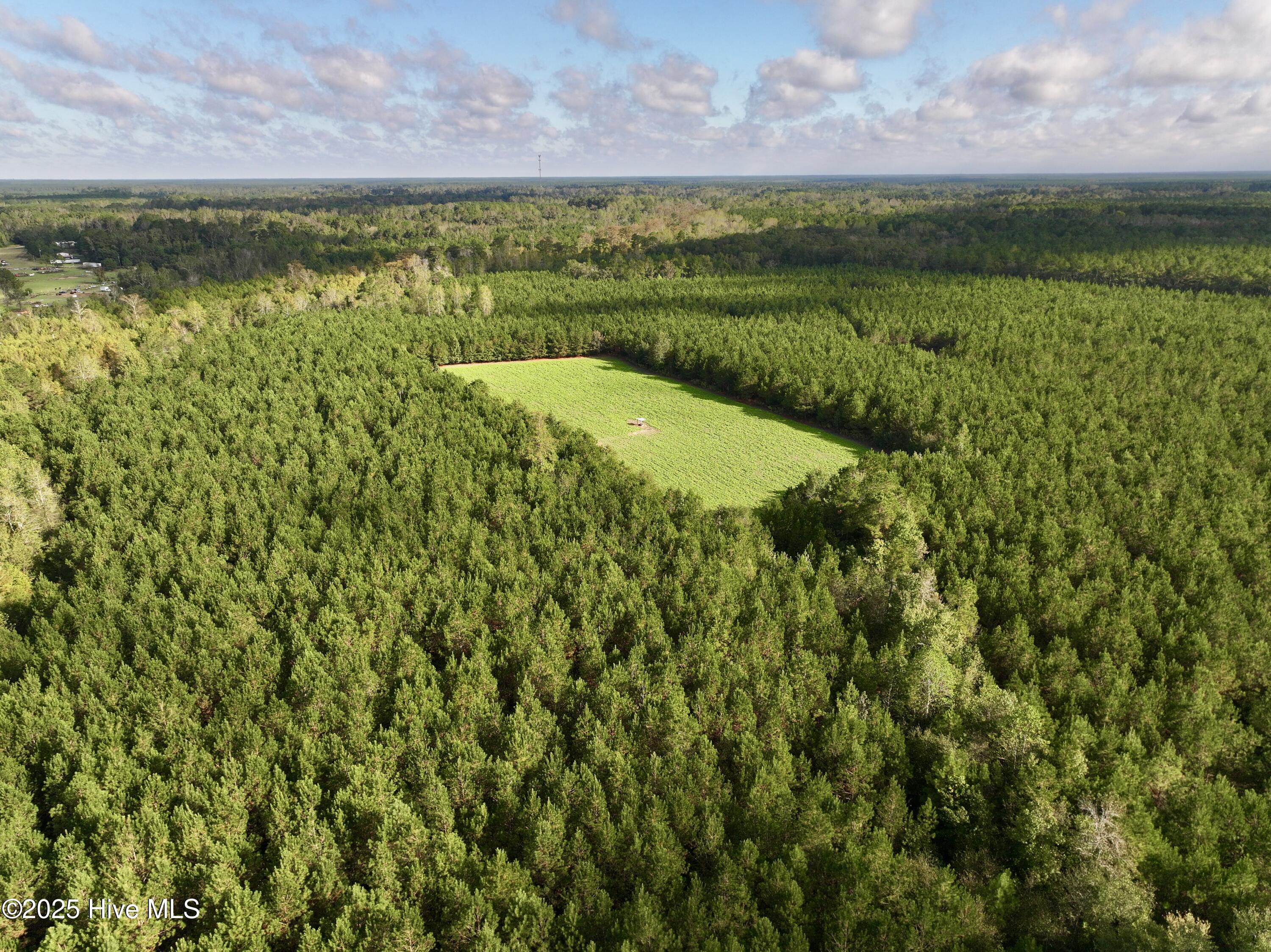 0 Atkinson Cemetery Road Property Photo 4