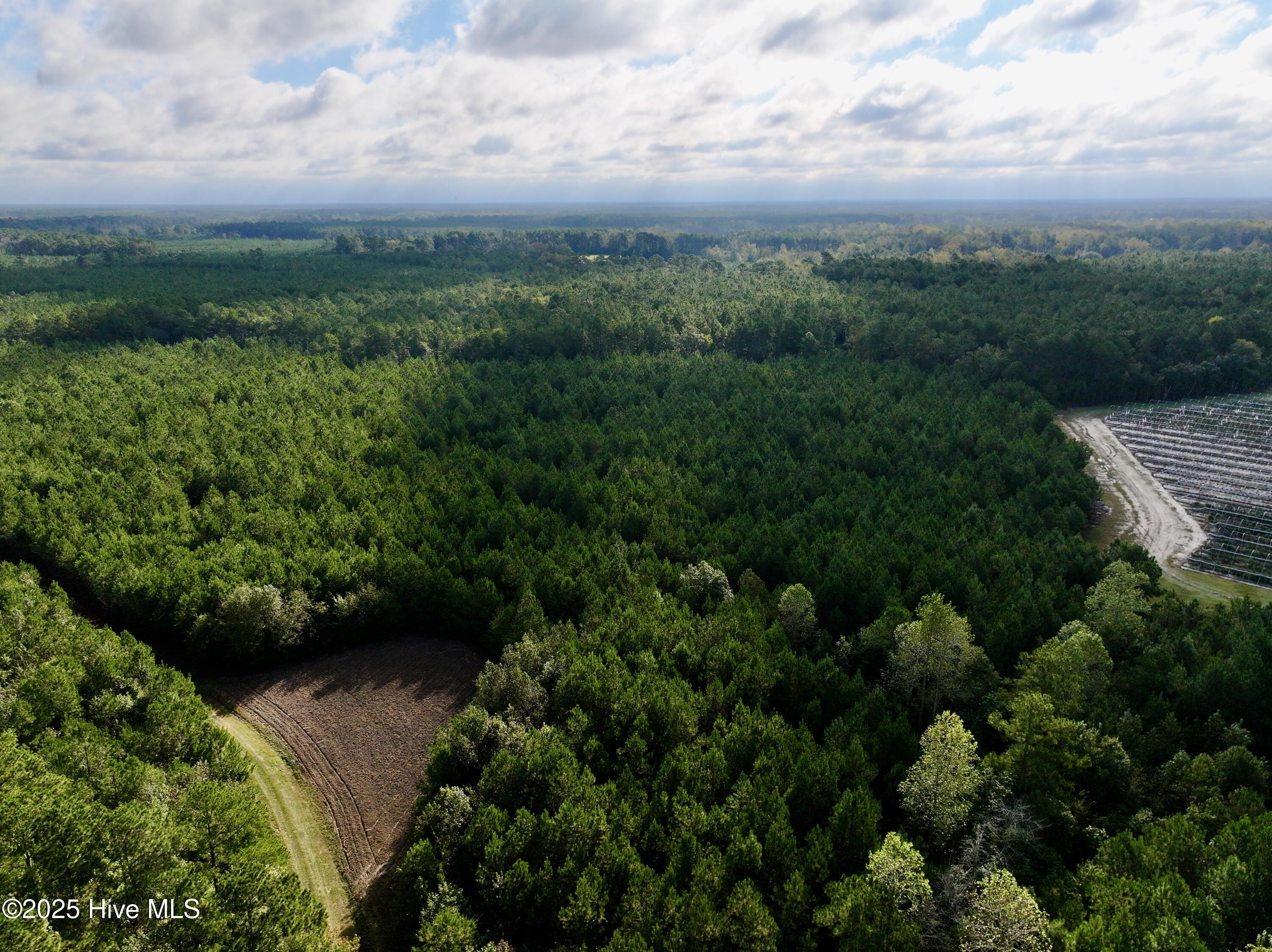0 Atkinson Cemetery Road Property Photo 5