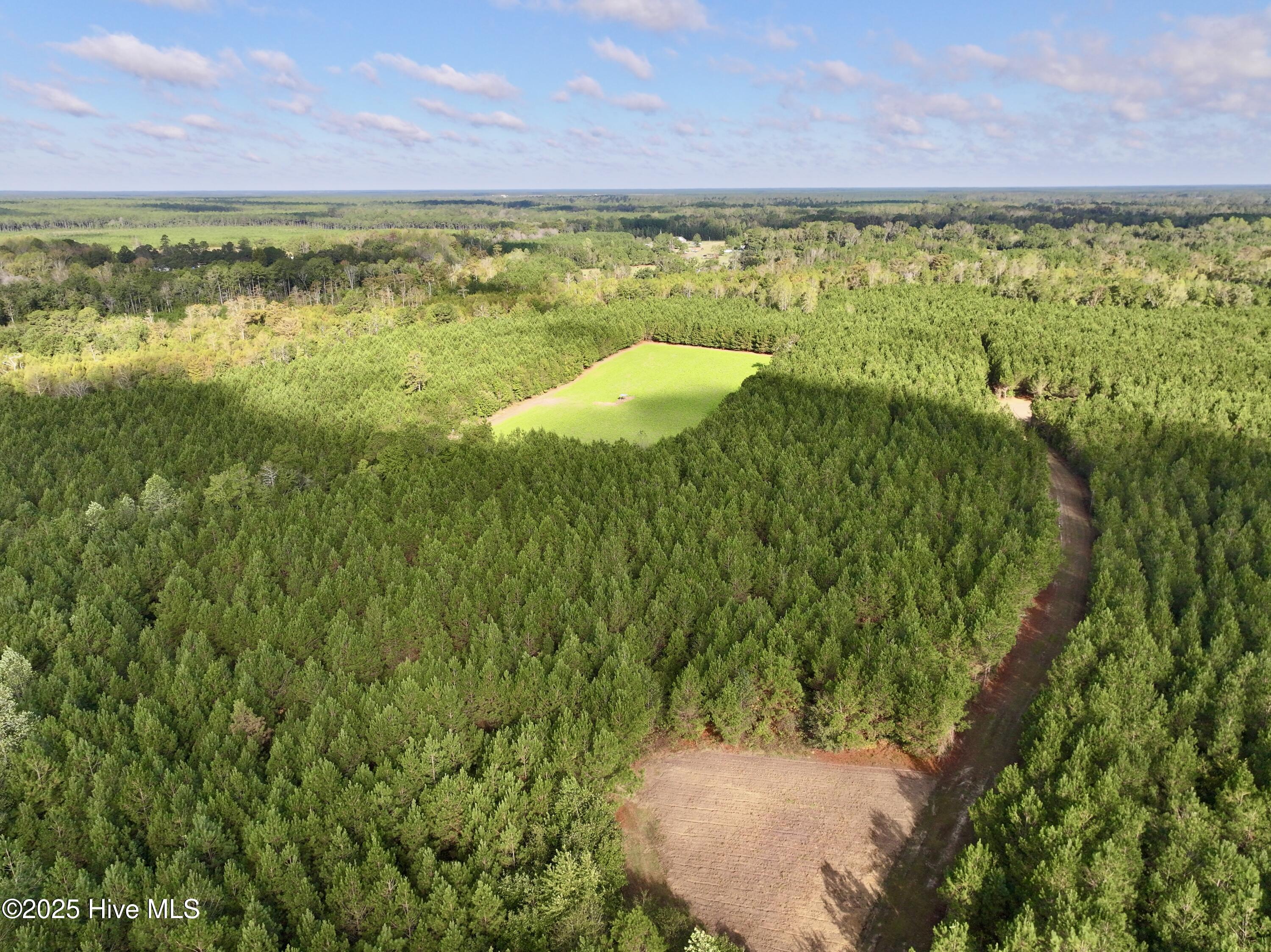 0 Atkinson Cemetery Road Property Photo 6