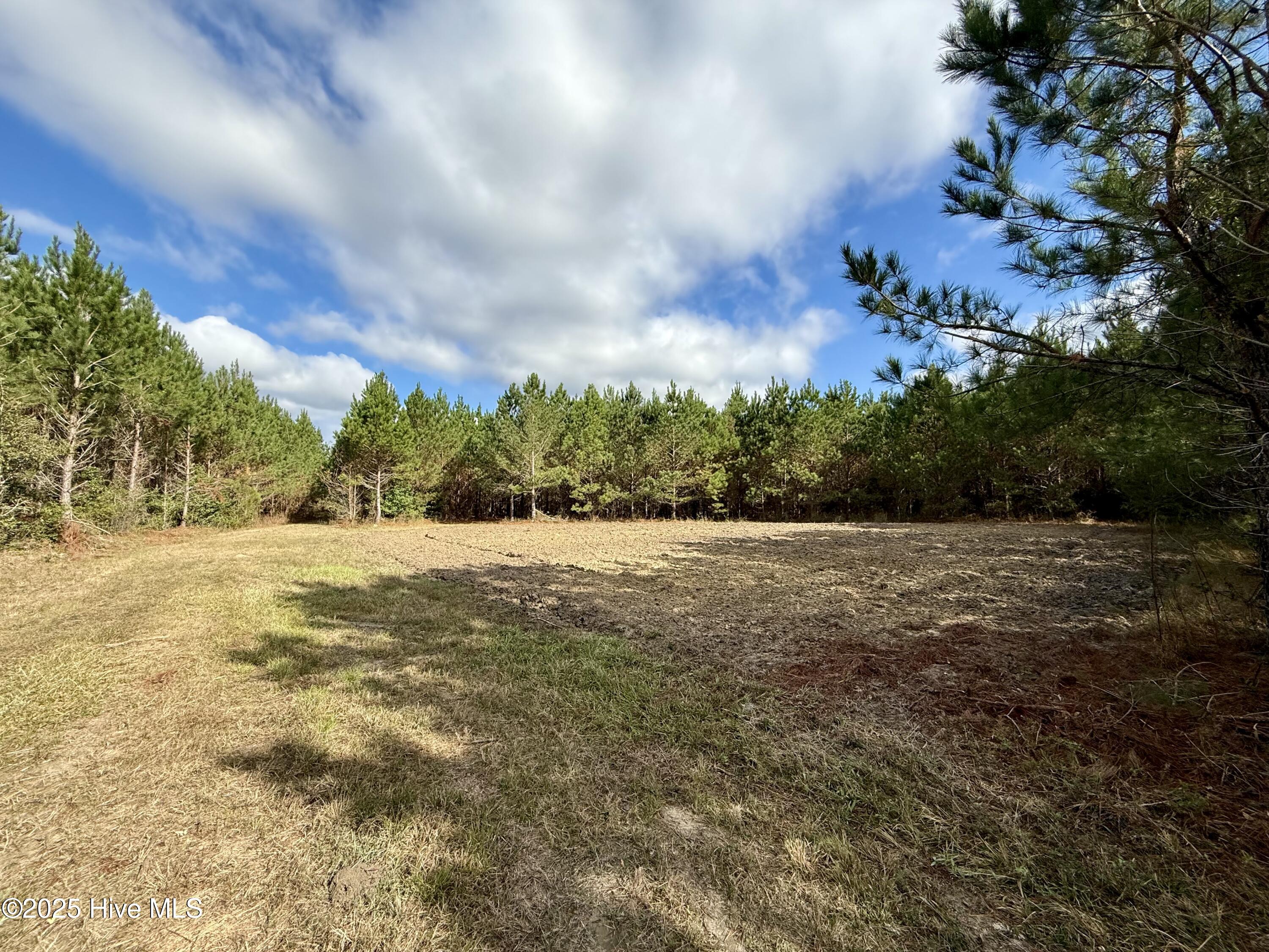 0 Atkinson Cemetery Road Property Photo 7