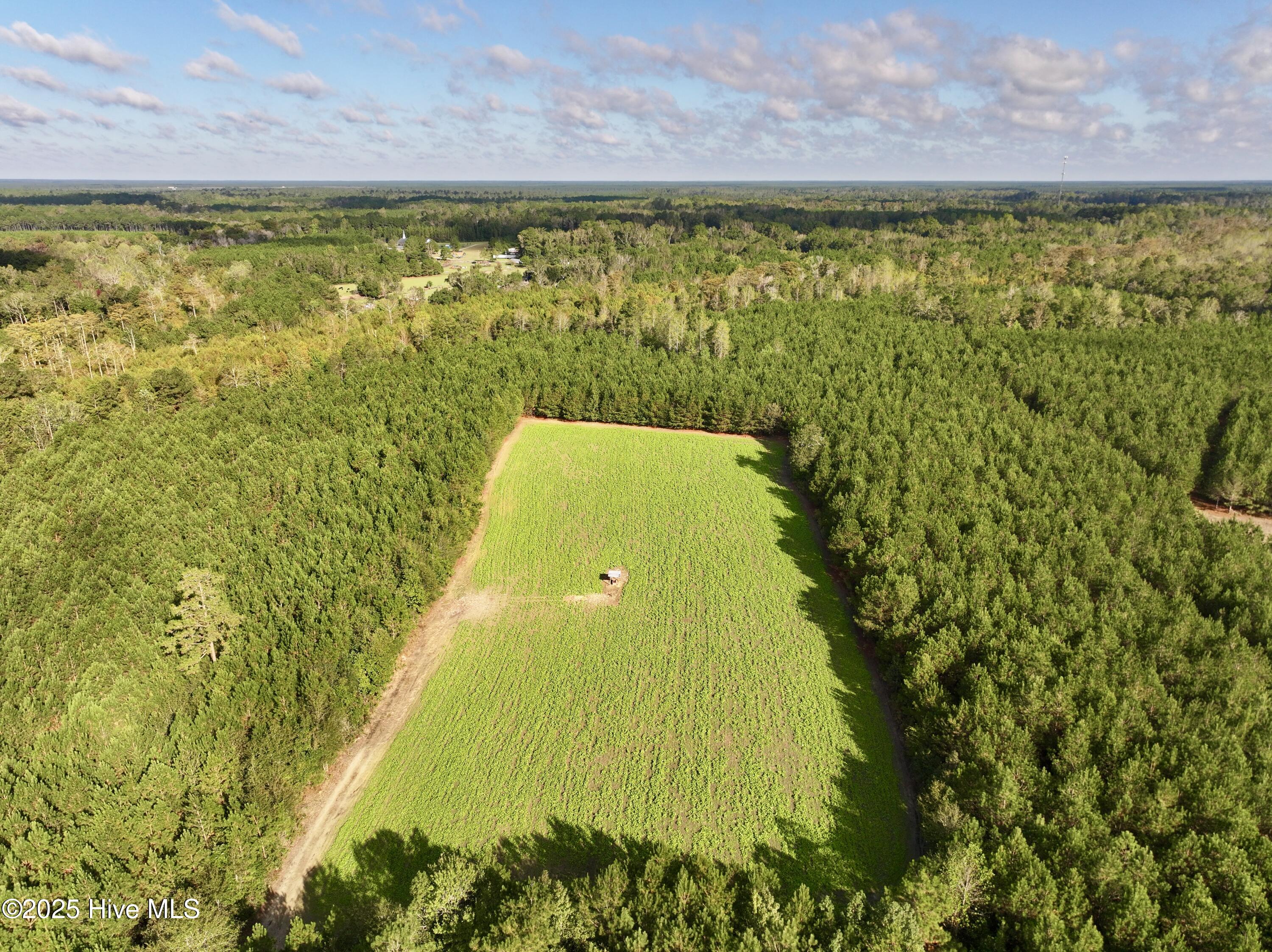 0 Atkinson Cemetery Road Property Photo 8